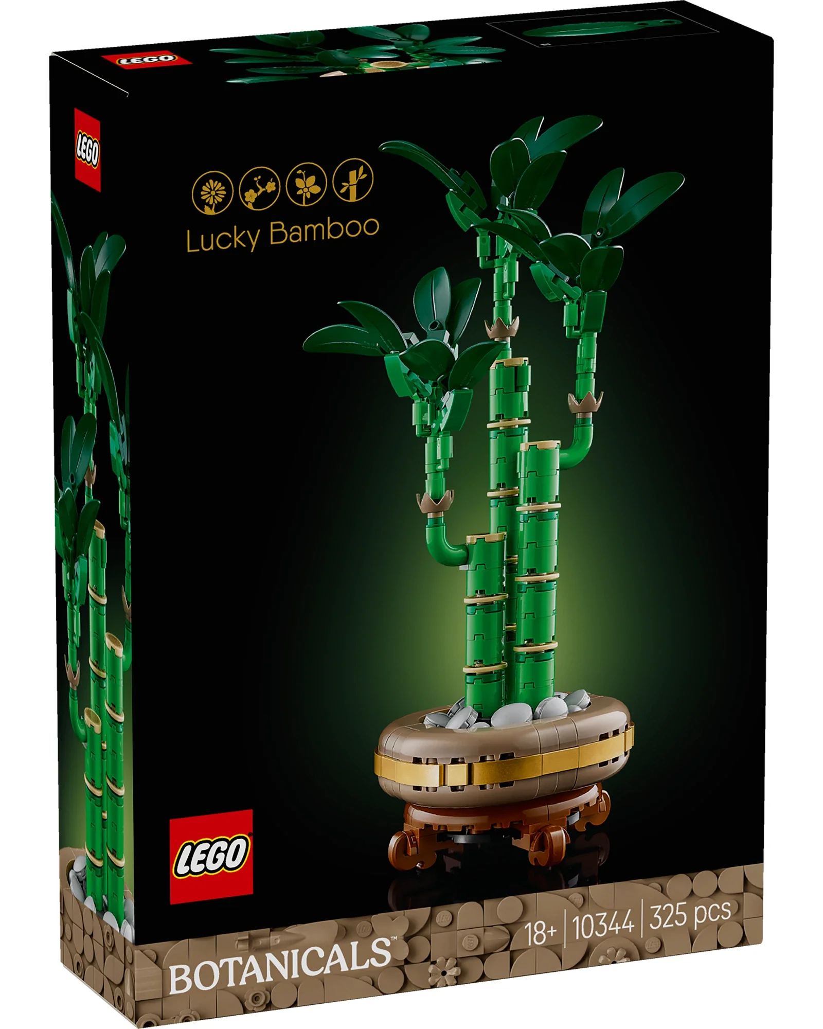 10344 Lucky Bamboo - Image 2