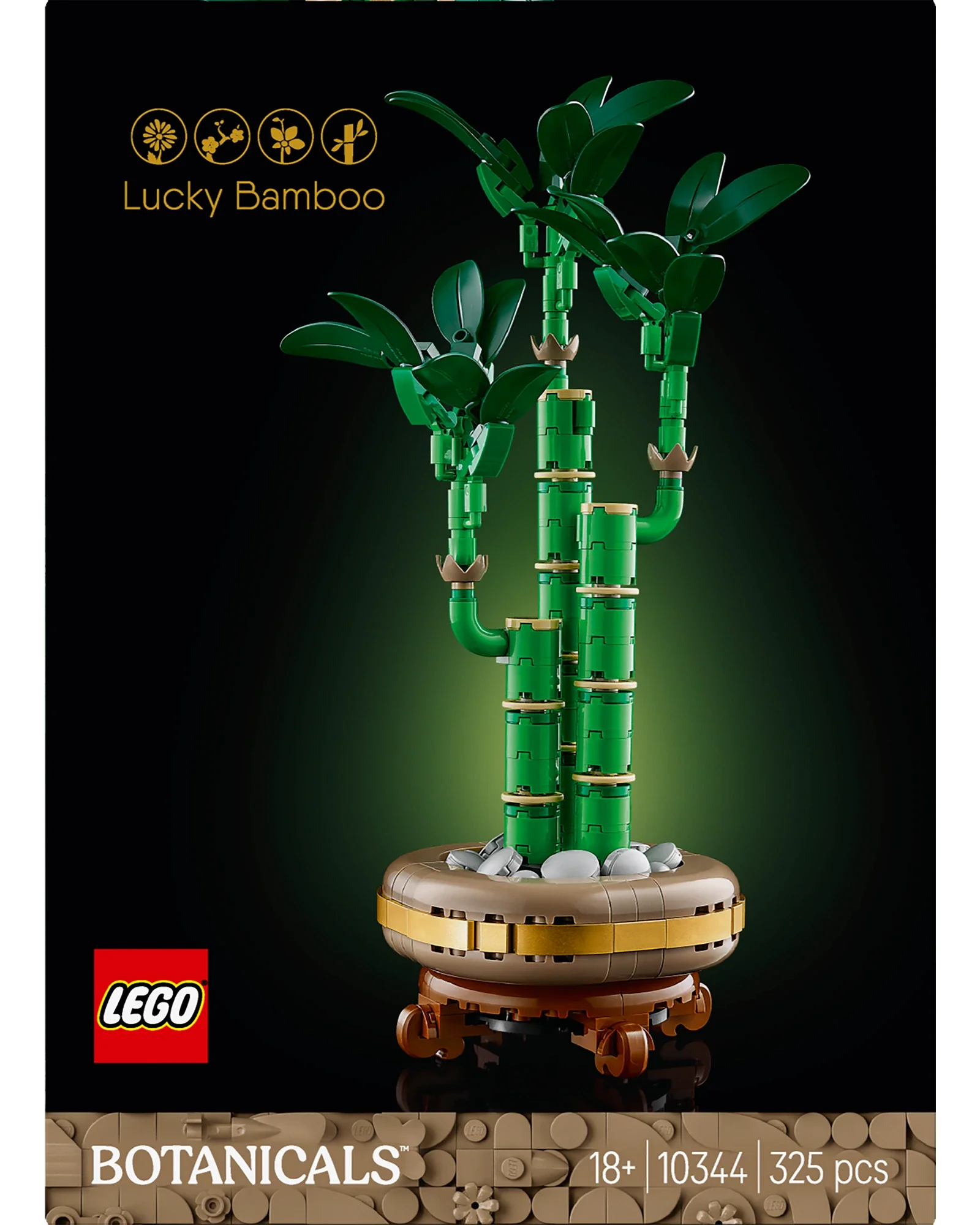 10344 Lucky Bamboo - Image 3