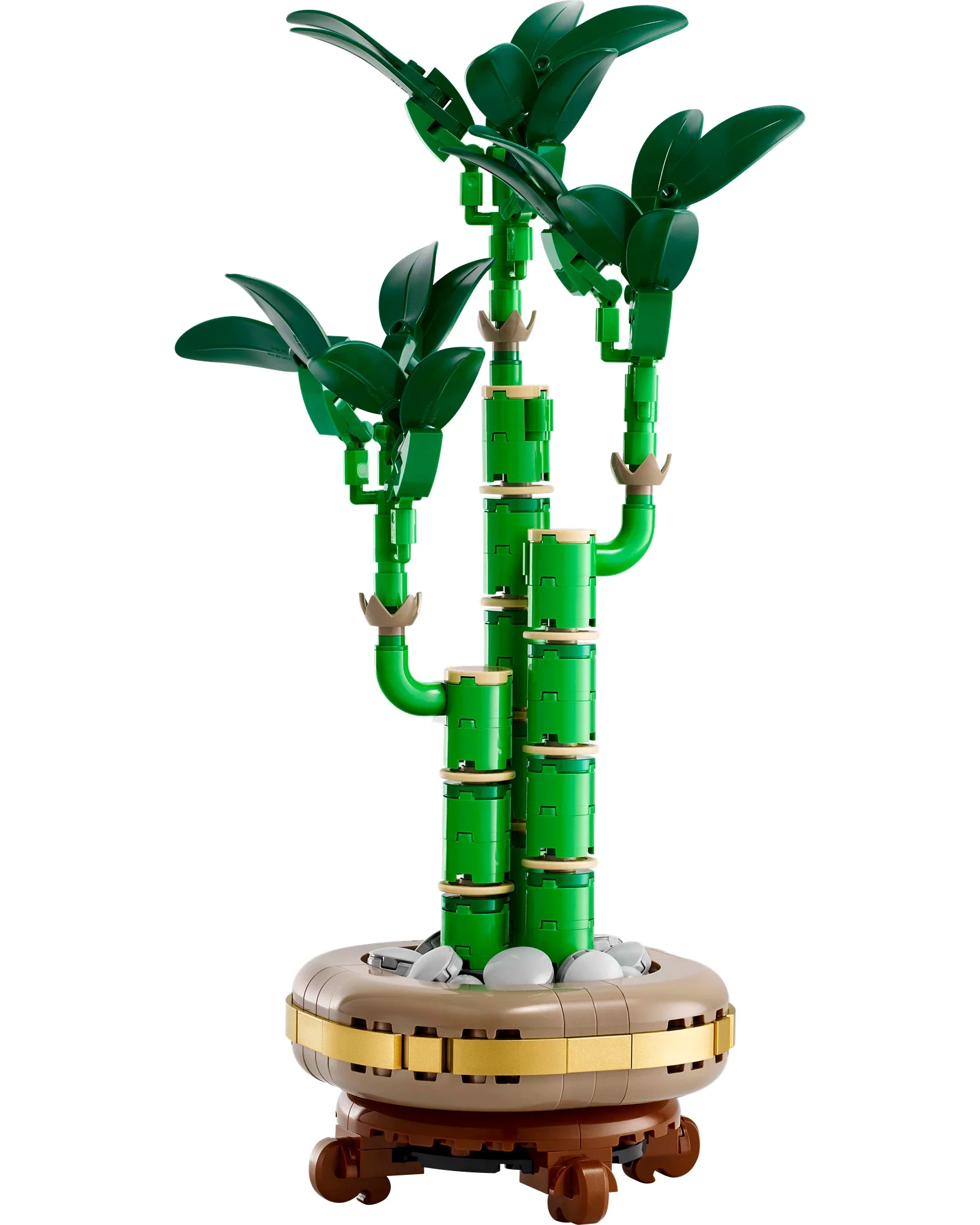10344 Lucky Bamboo - Image 4