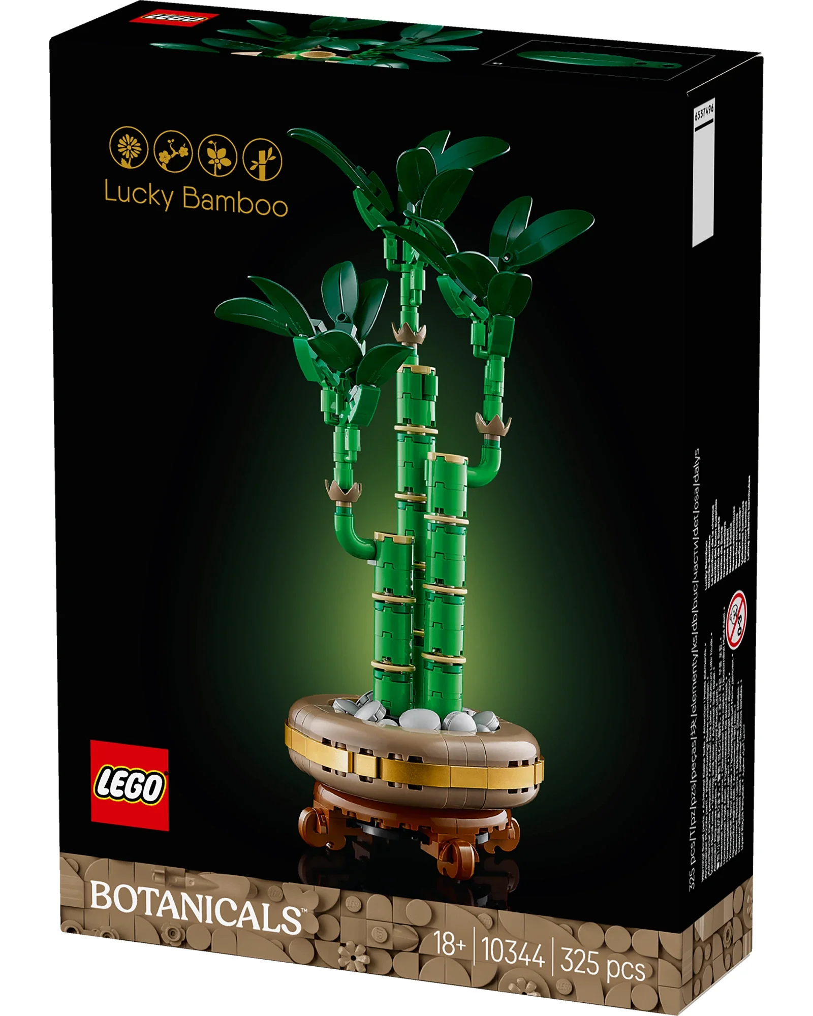 10344 Lucky Bamboo - Image 5
