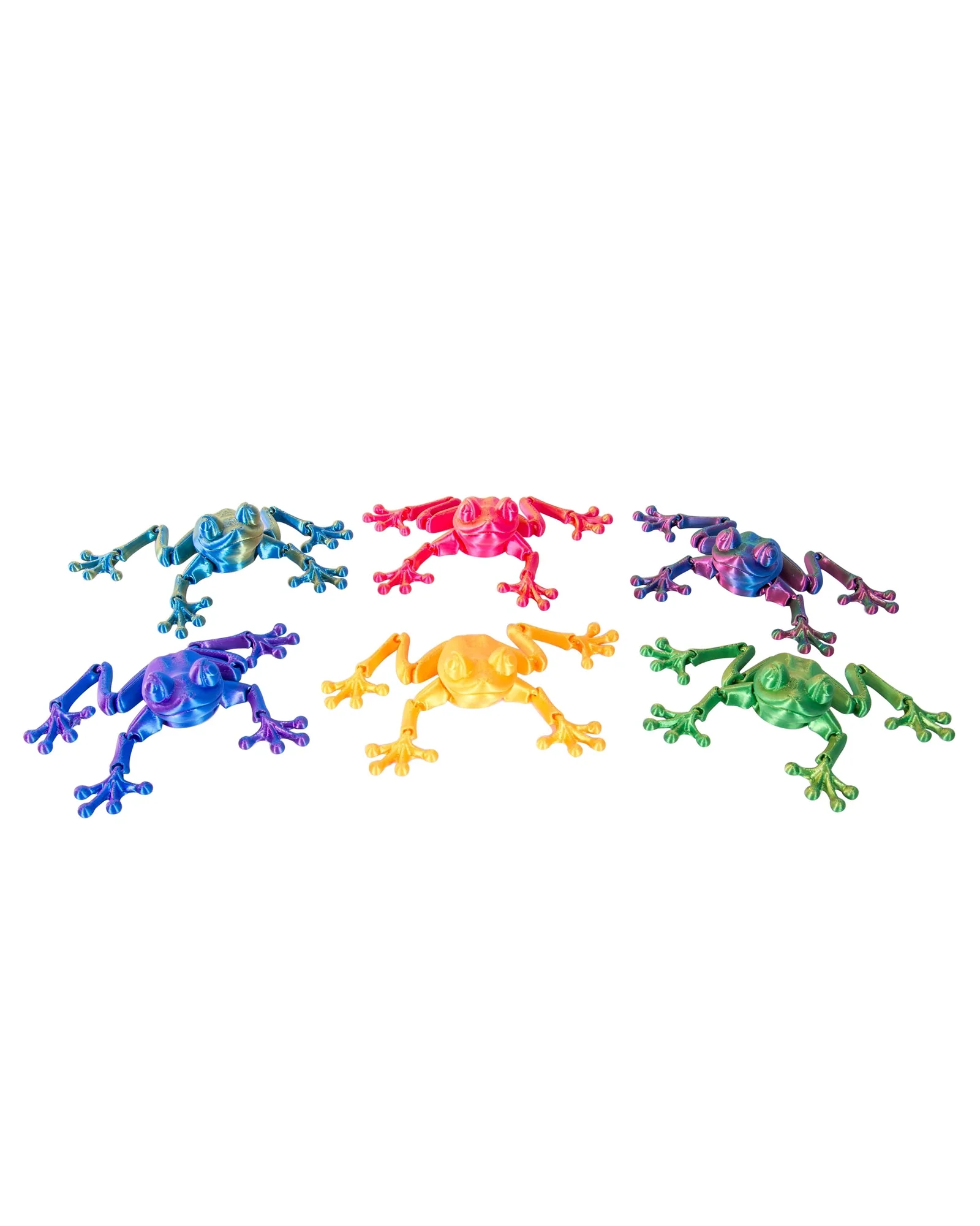 3D Sensory Frog Assorted