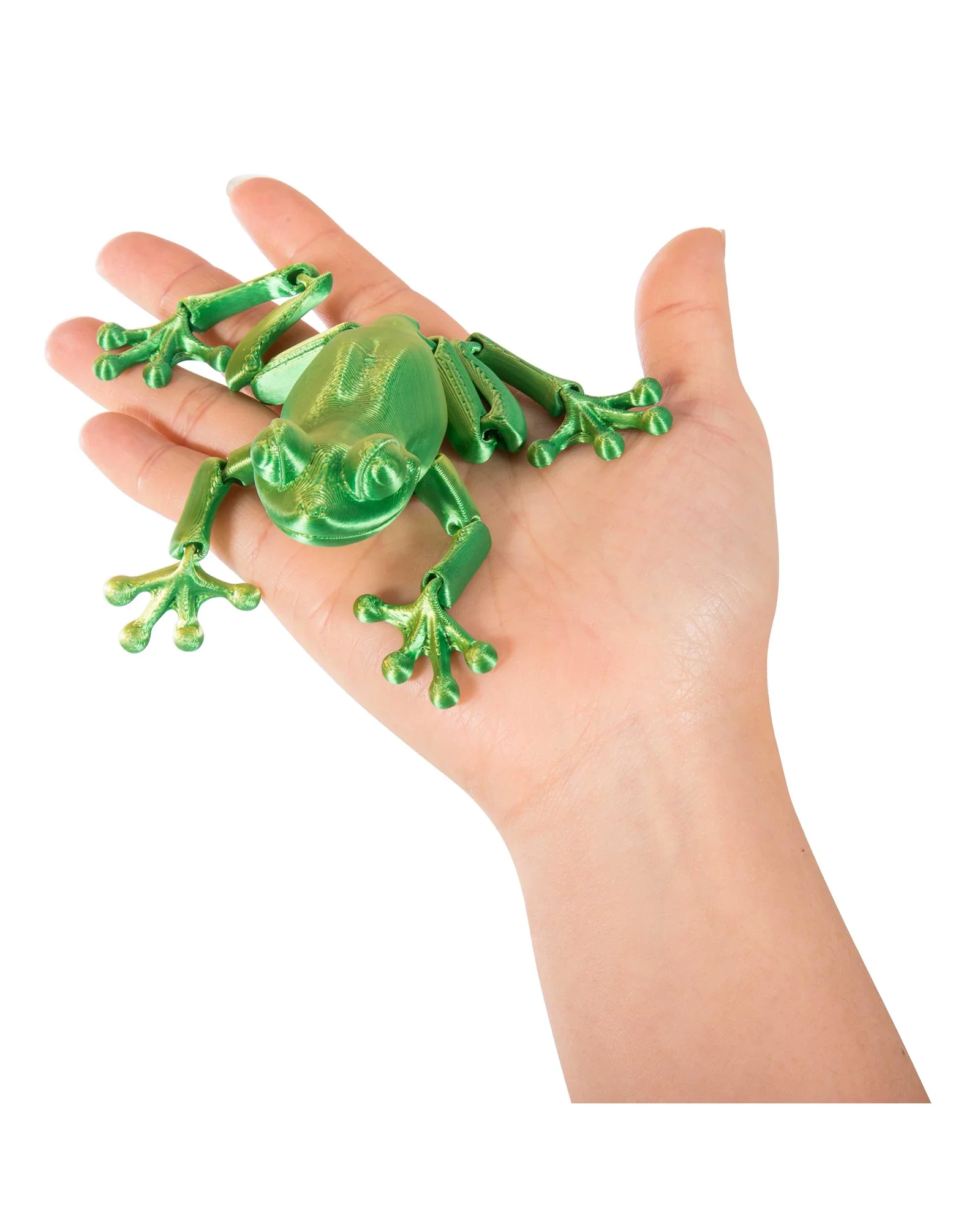 3D Sensory Frog Assorted - Image 2