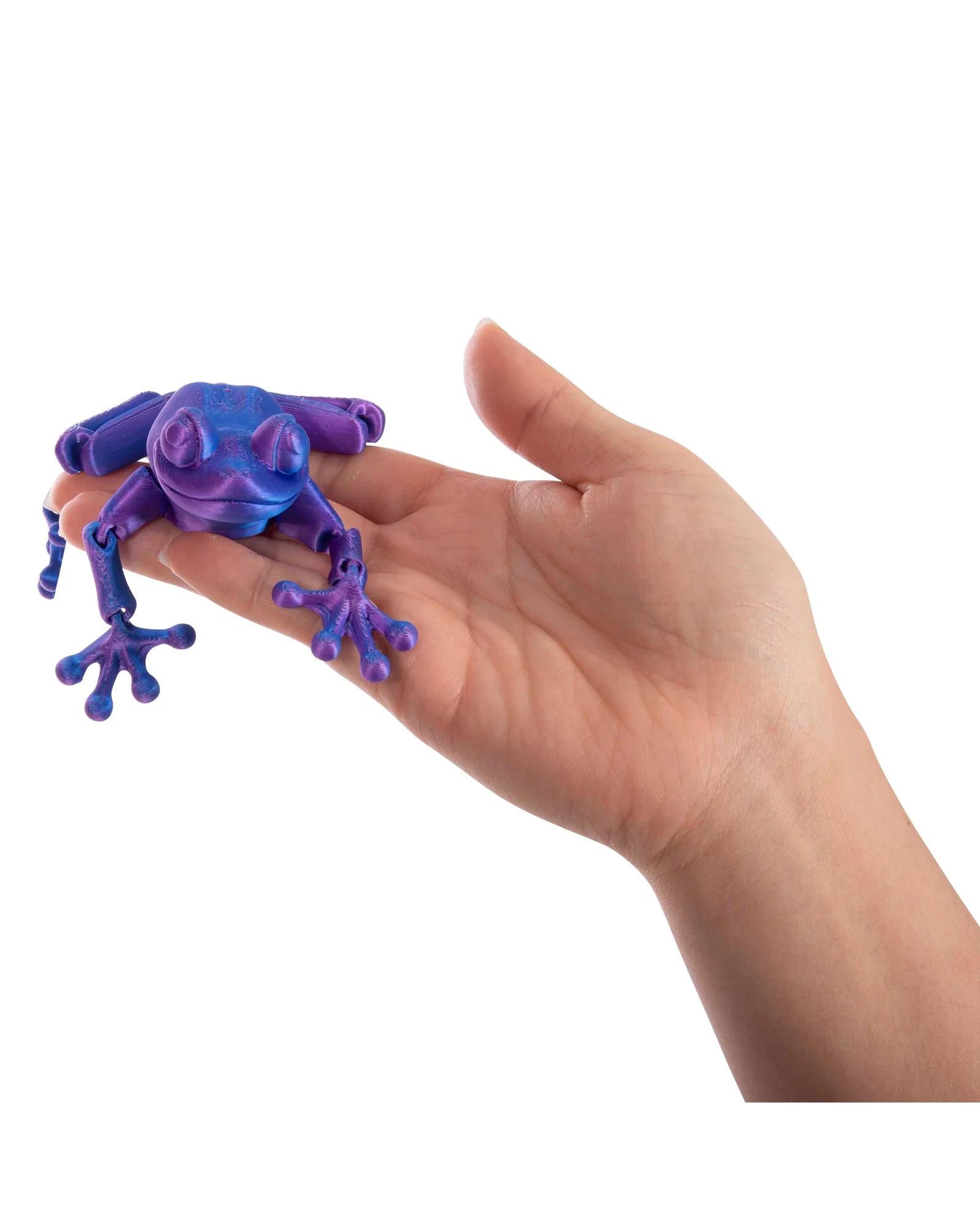 3D Sensory Frog Assorted - Image 3