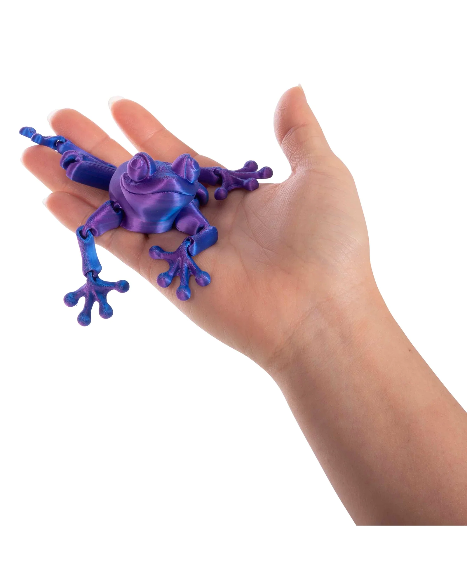 3D Sensory Frog Assorted - Image 4