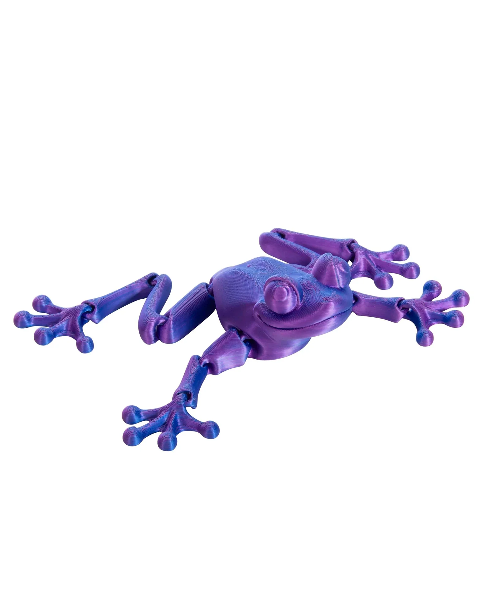 3D Sensory Frog Assorted - Image 7
