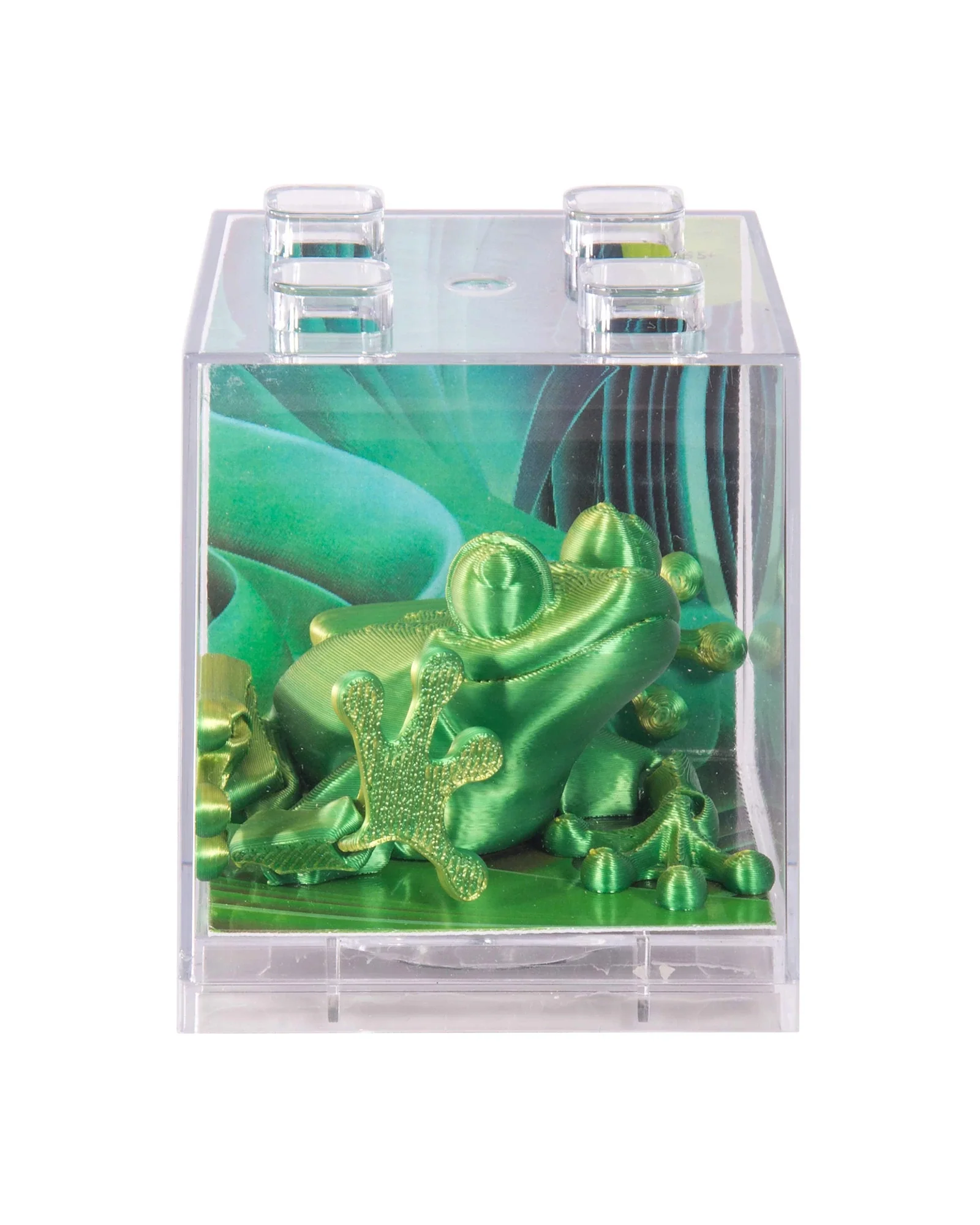 3D Sensory Frog Assorted - Image 9