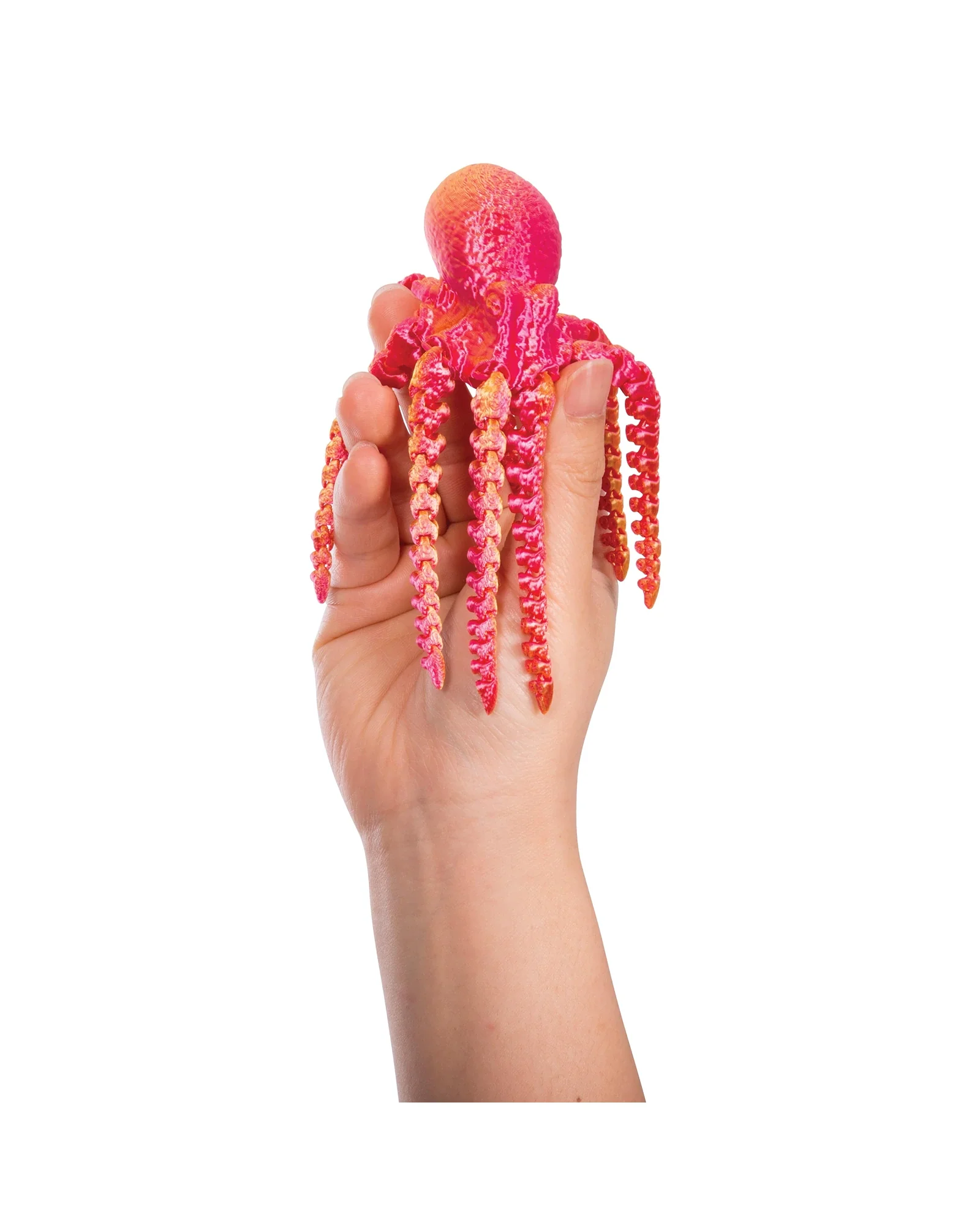 3D Sensory Sealife - Assorted - Image 6