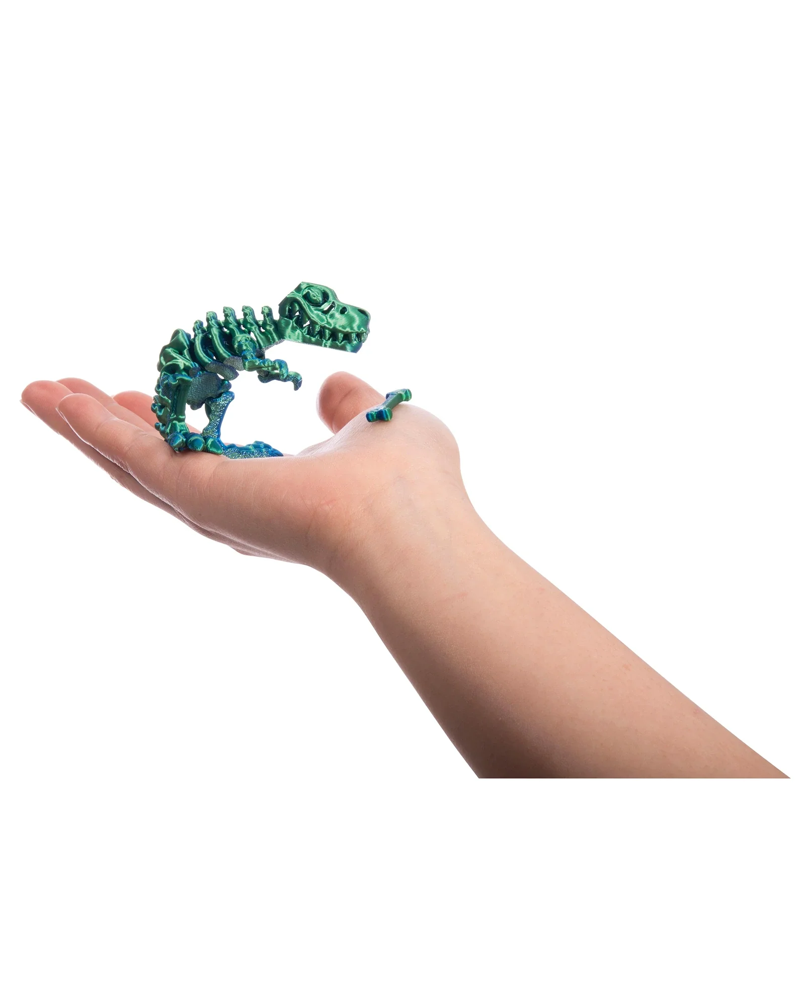 3D Sensory T-Rex - Assorted - Image 2