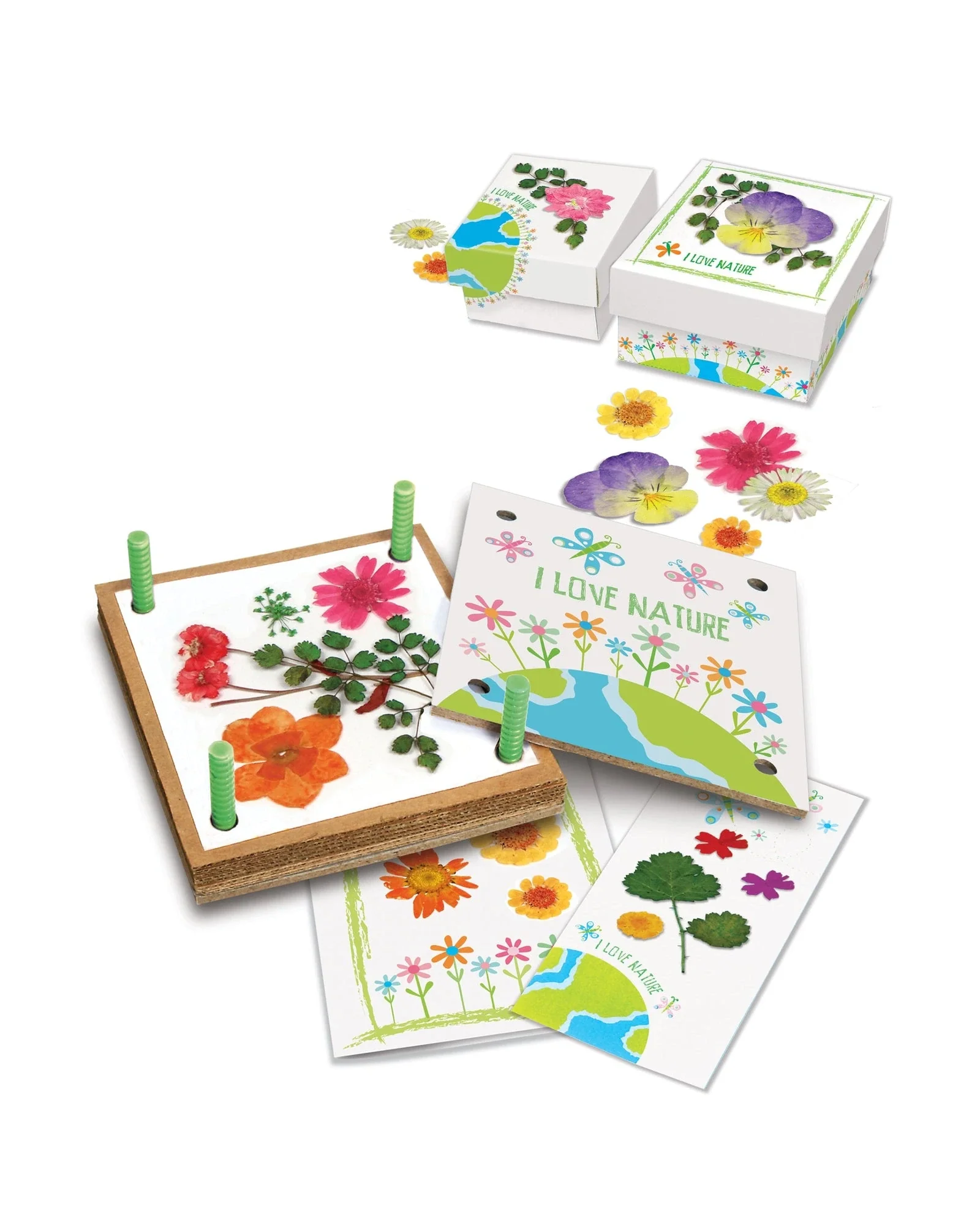 Green Science Pressed Flower Art - Image 2
