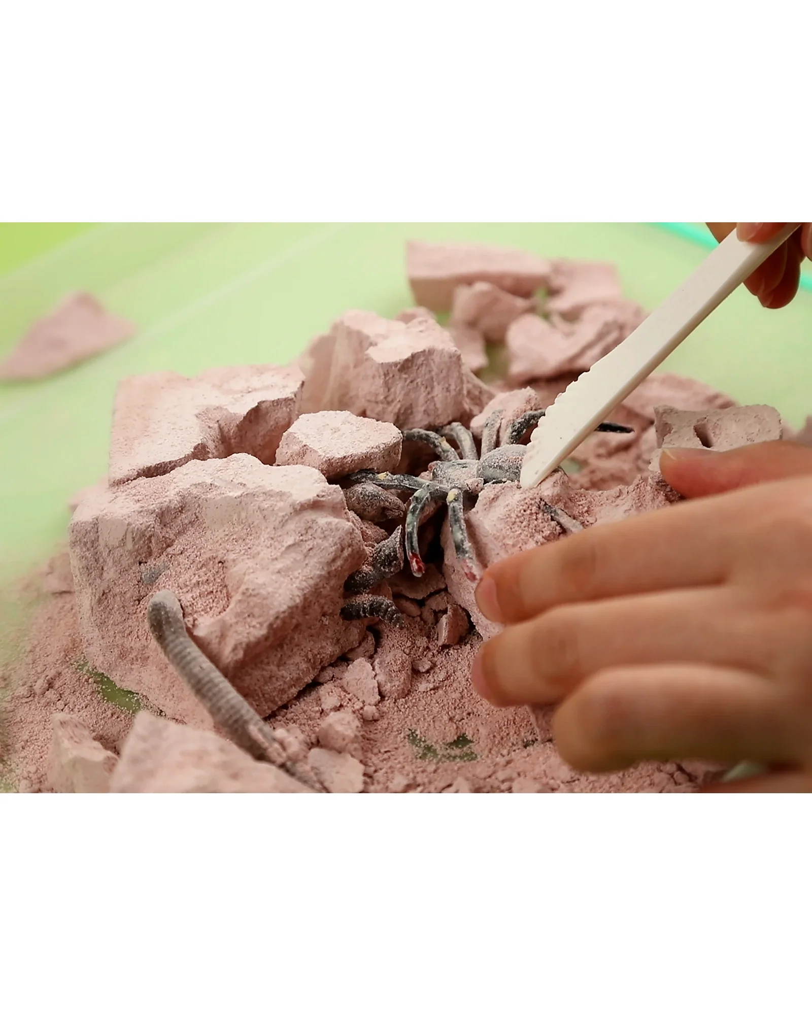 Kidz Labs Creepy Crawly Digging Kit - Image 5