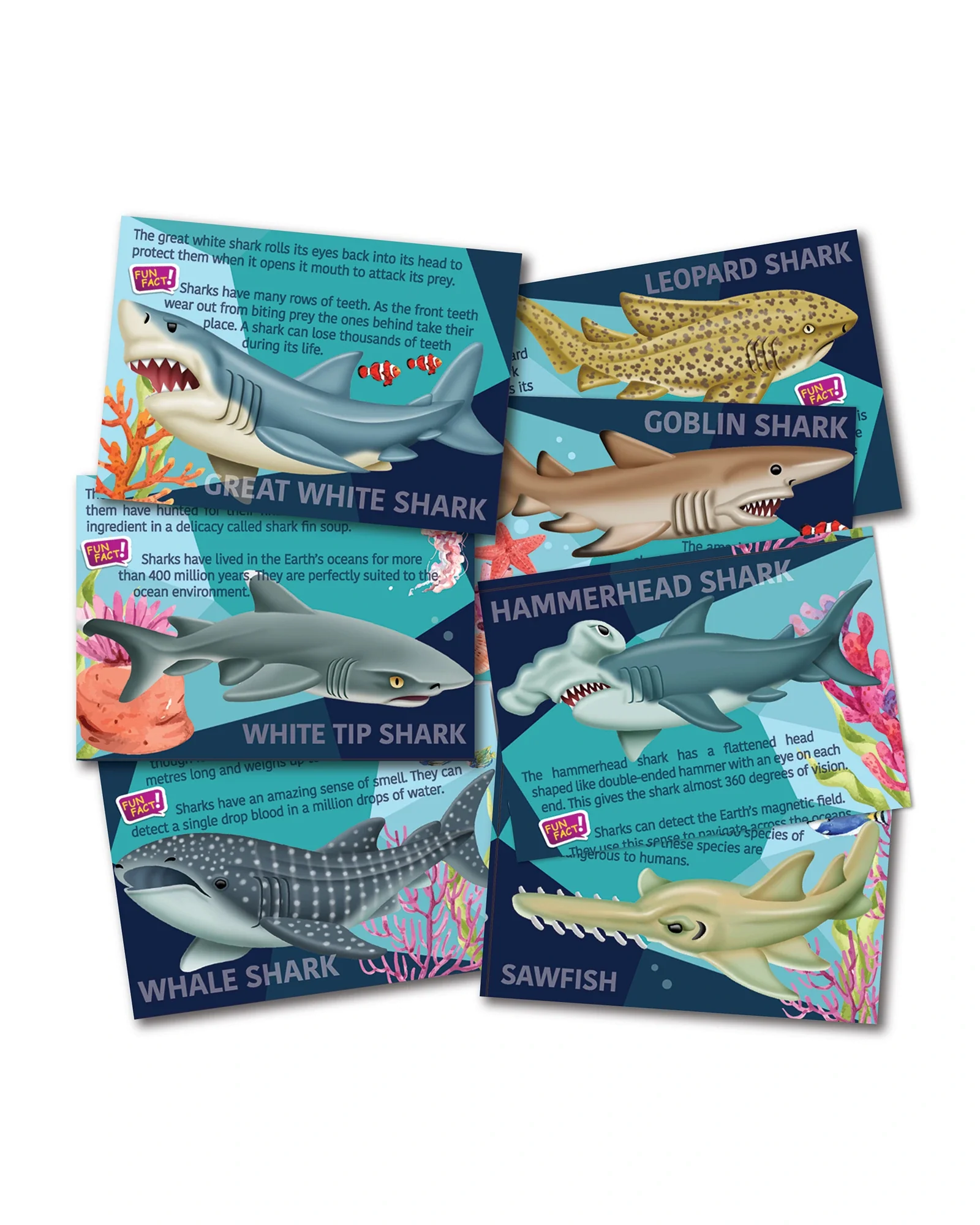 Mould & Paint Sharks - Image 4