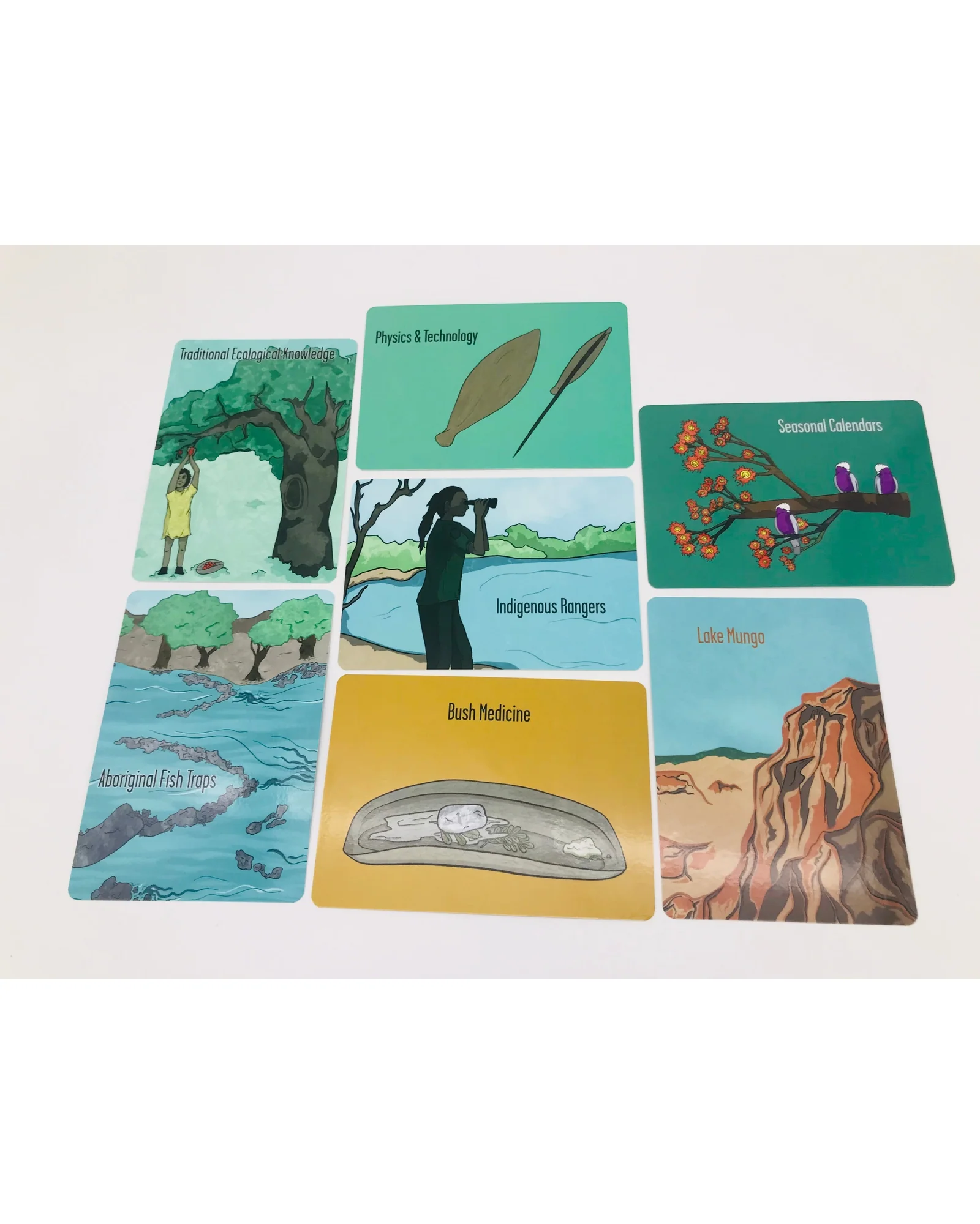 Aboriginal Science Topic Cards - Image 4