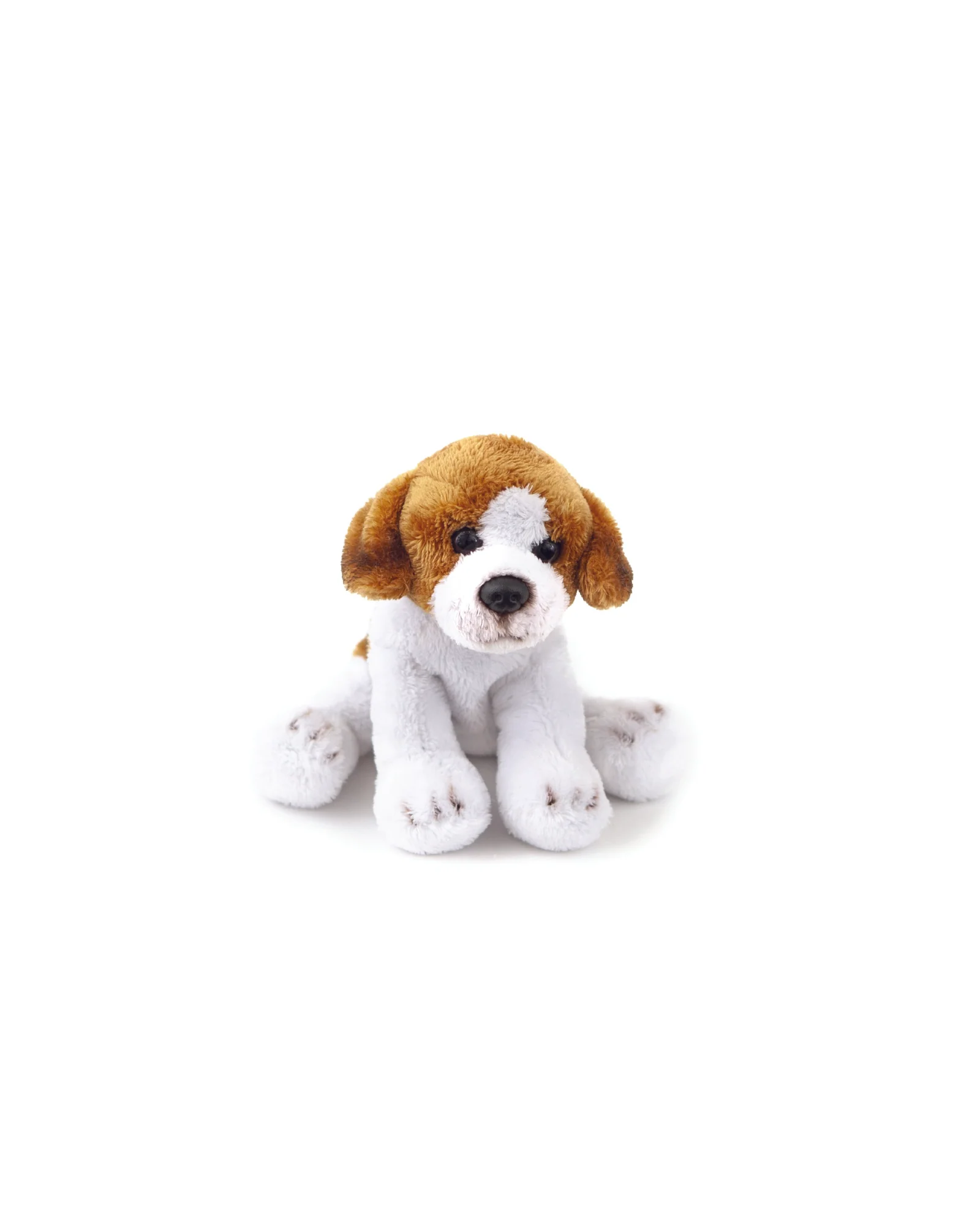 Benny Junior Beagle Small