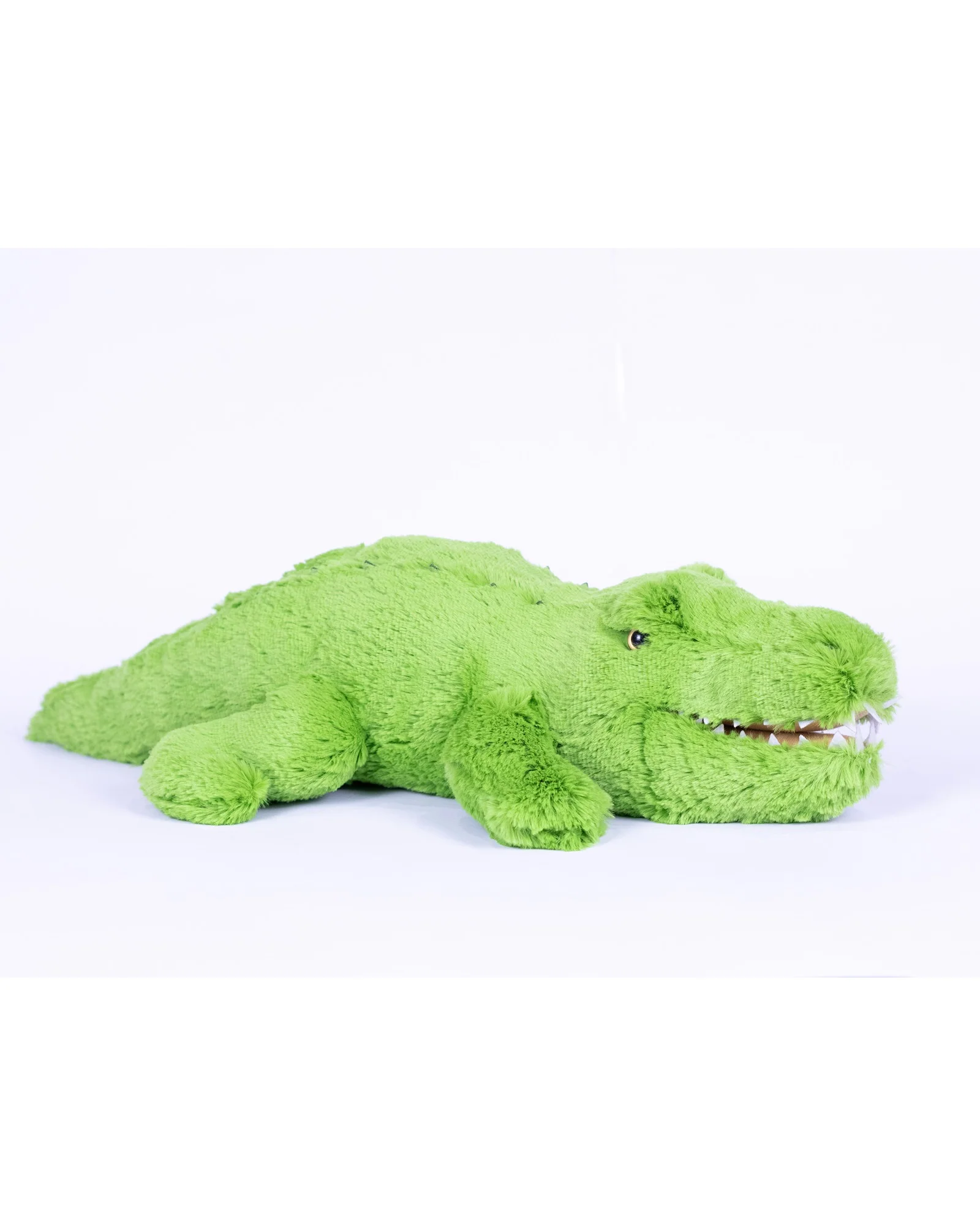 Charlie Crocodile