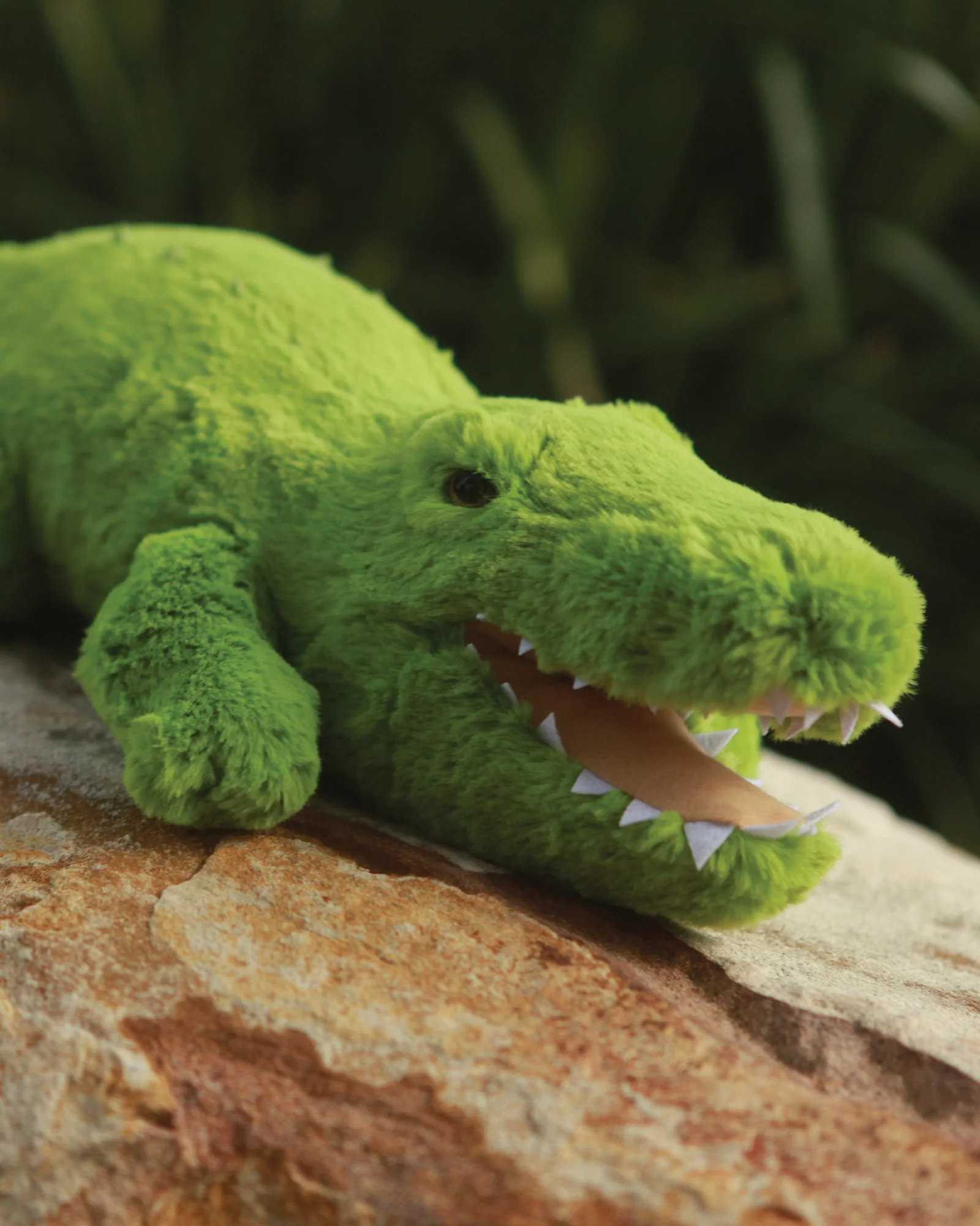 Charlie Crocodile - Image 3