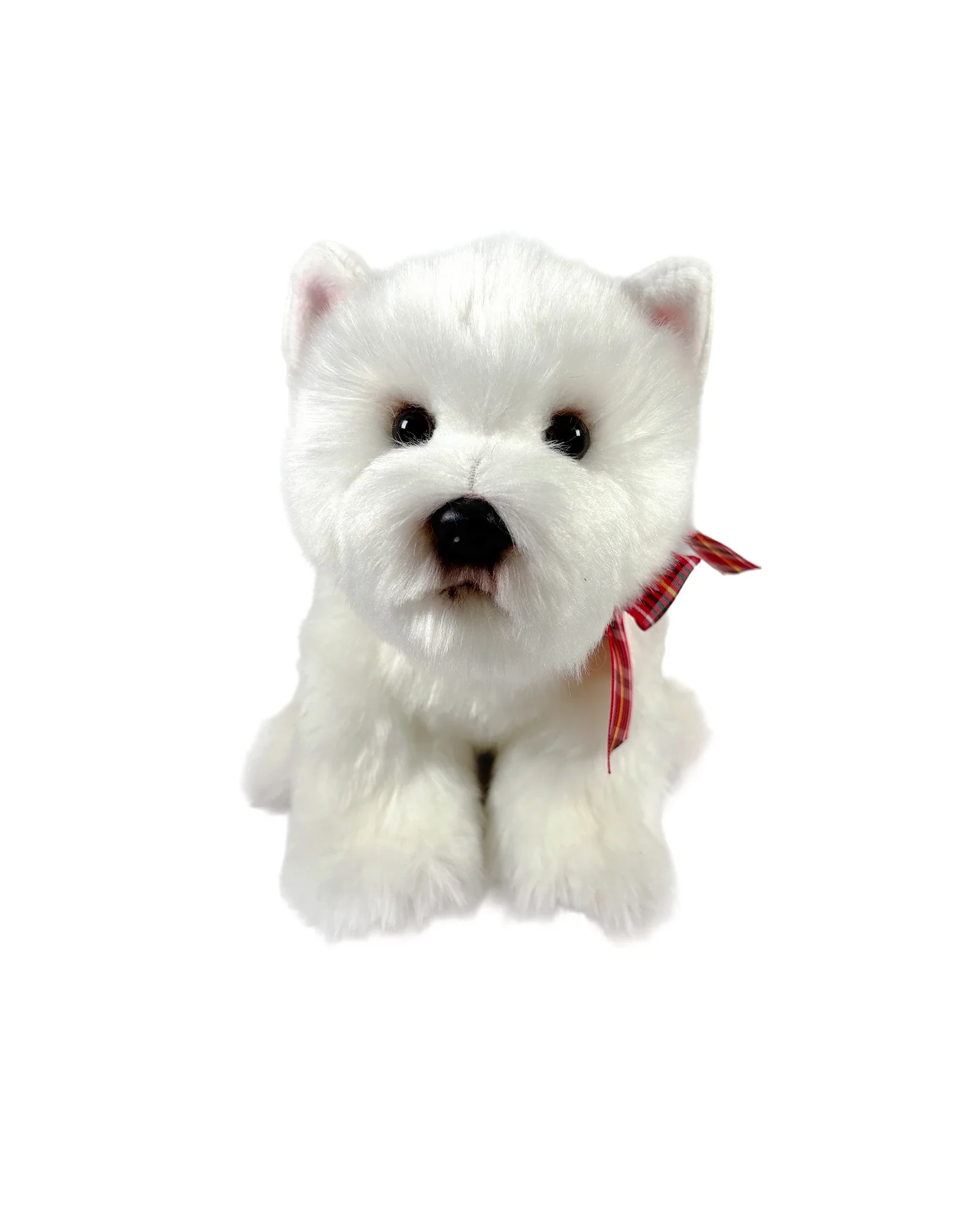 Hamish West Highland Terrier