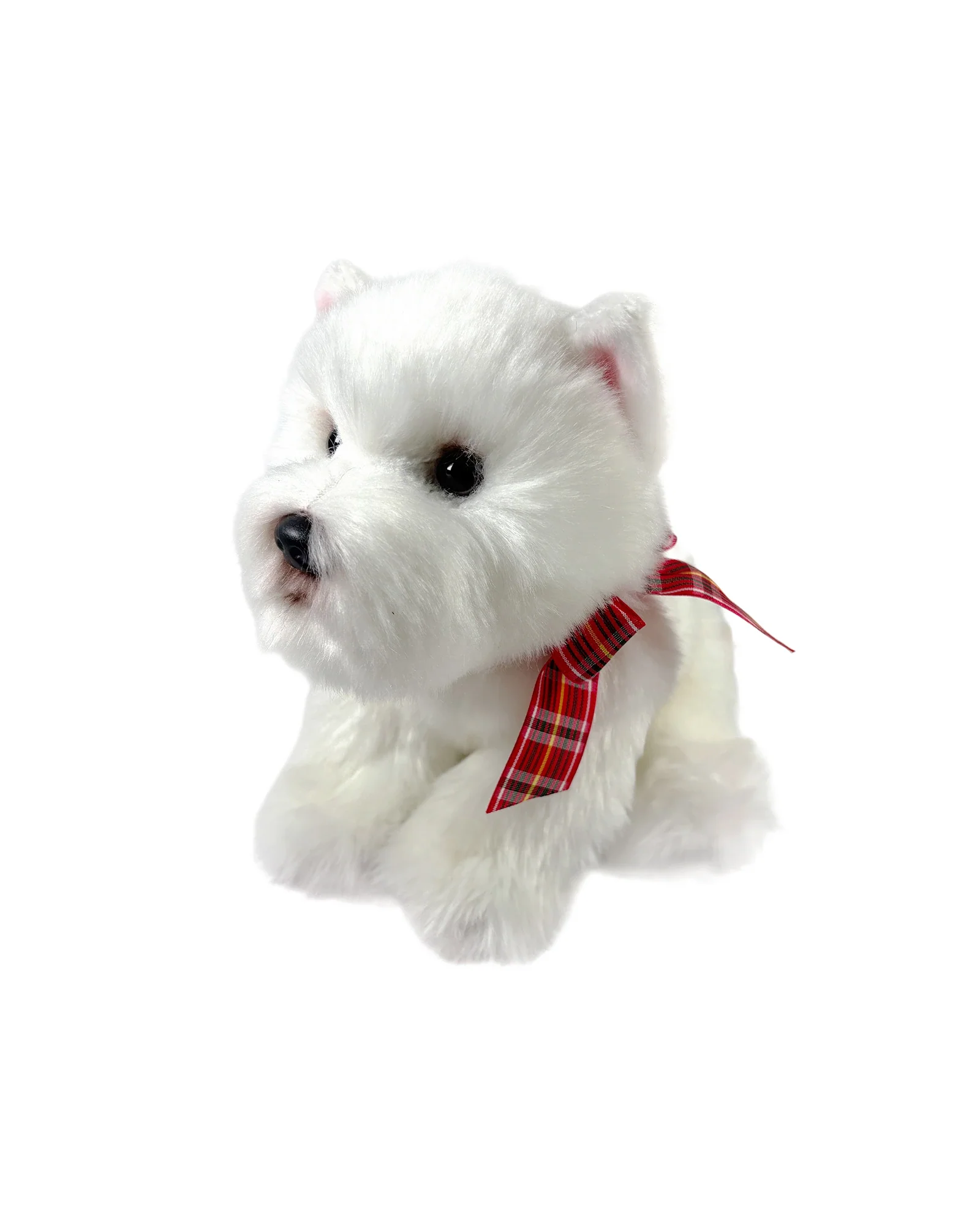 Hamish West Highland Terrier - Image 2