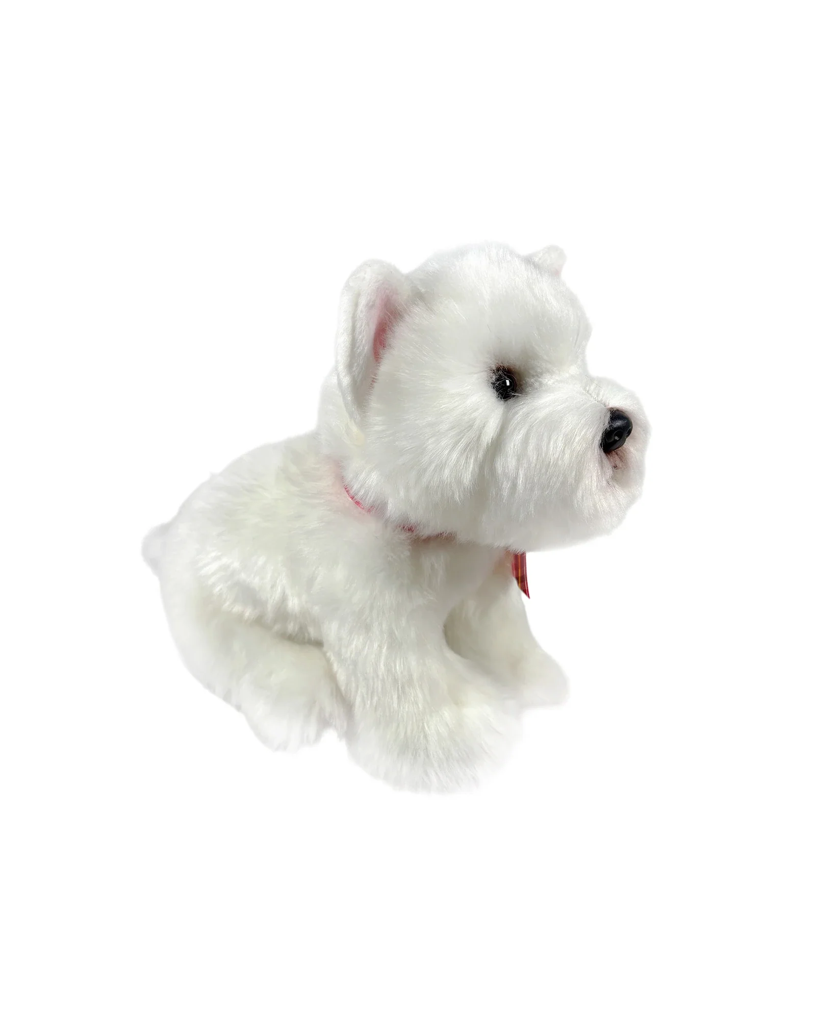 Hamish West Highland Terrier - Image 3