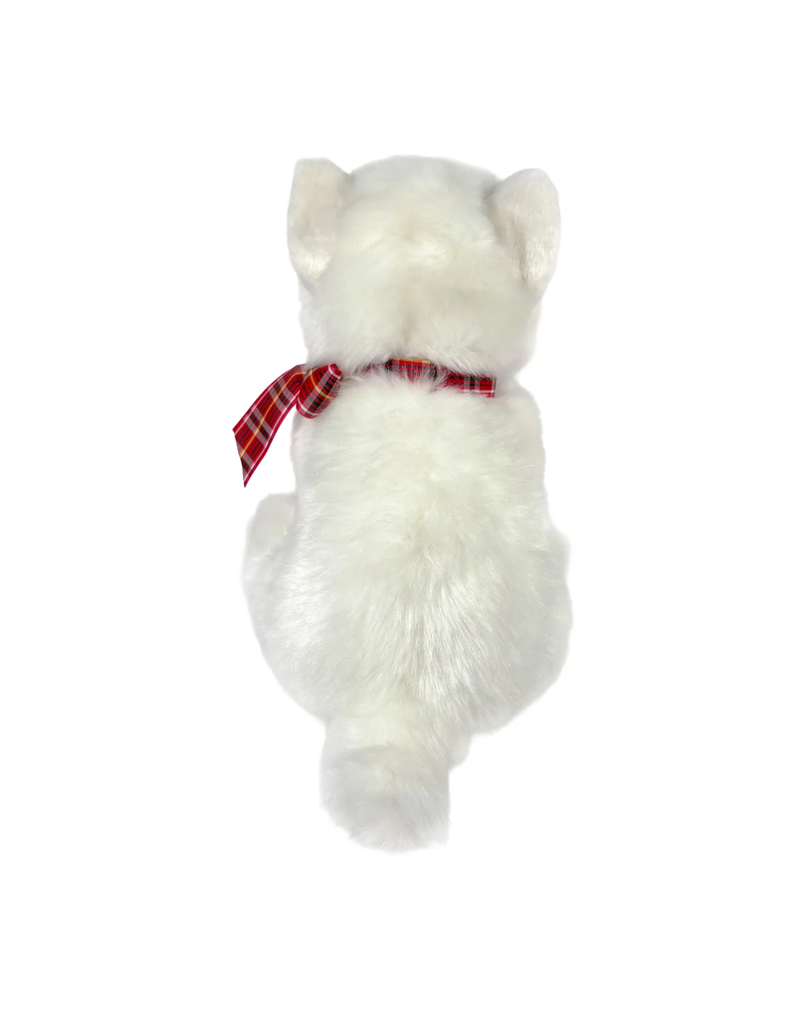 Hamish West Highland Terrier - Image 4