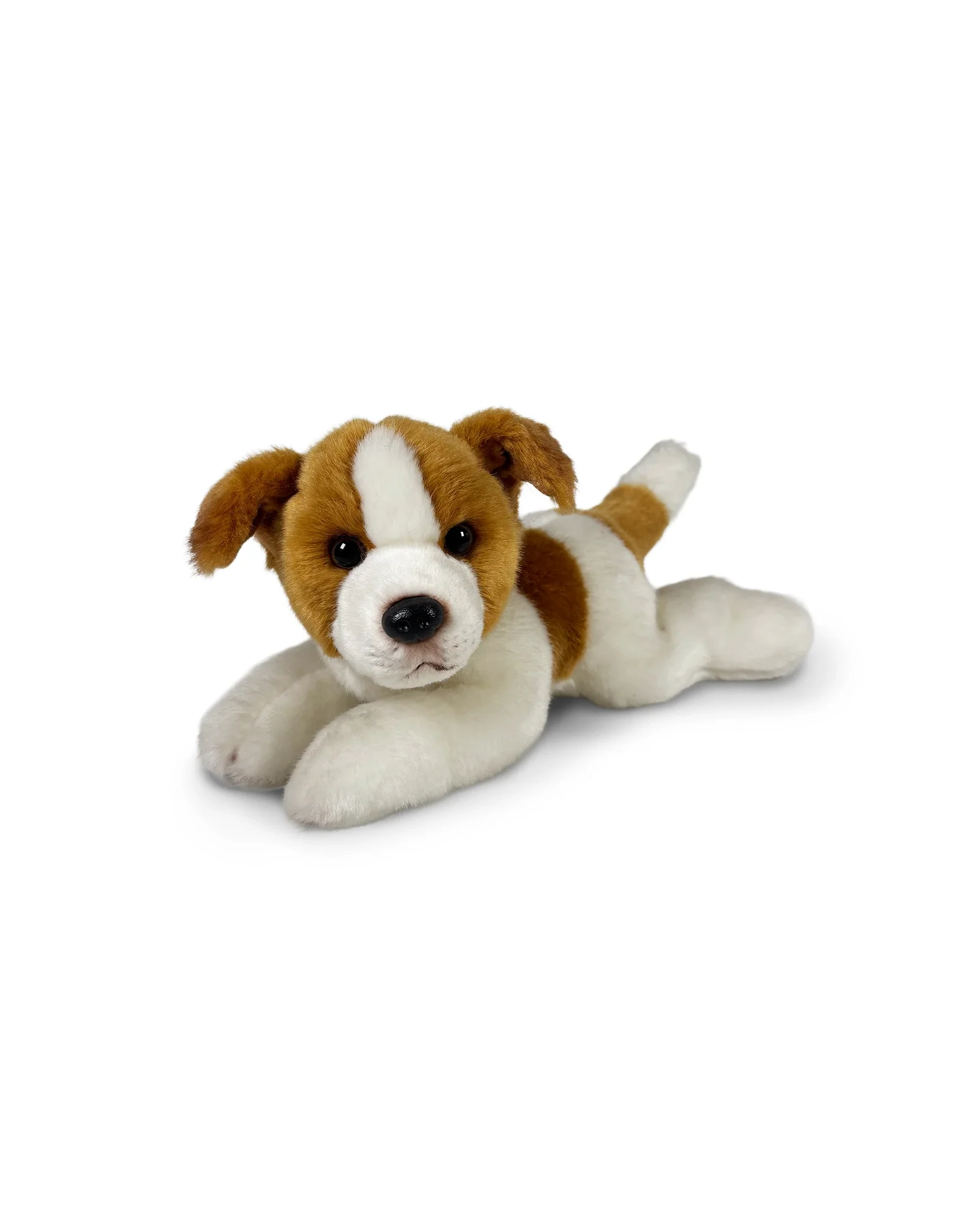 Jessie Jack Russel