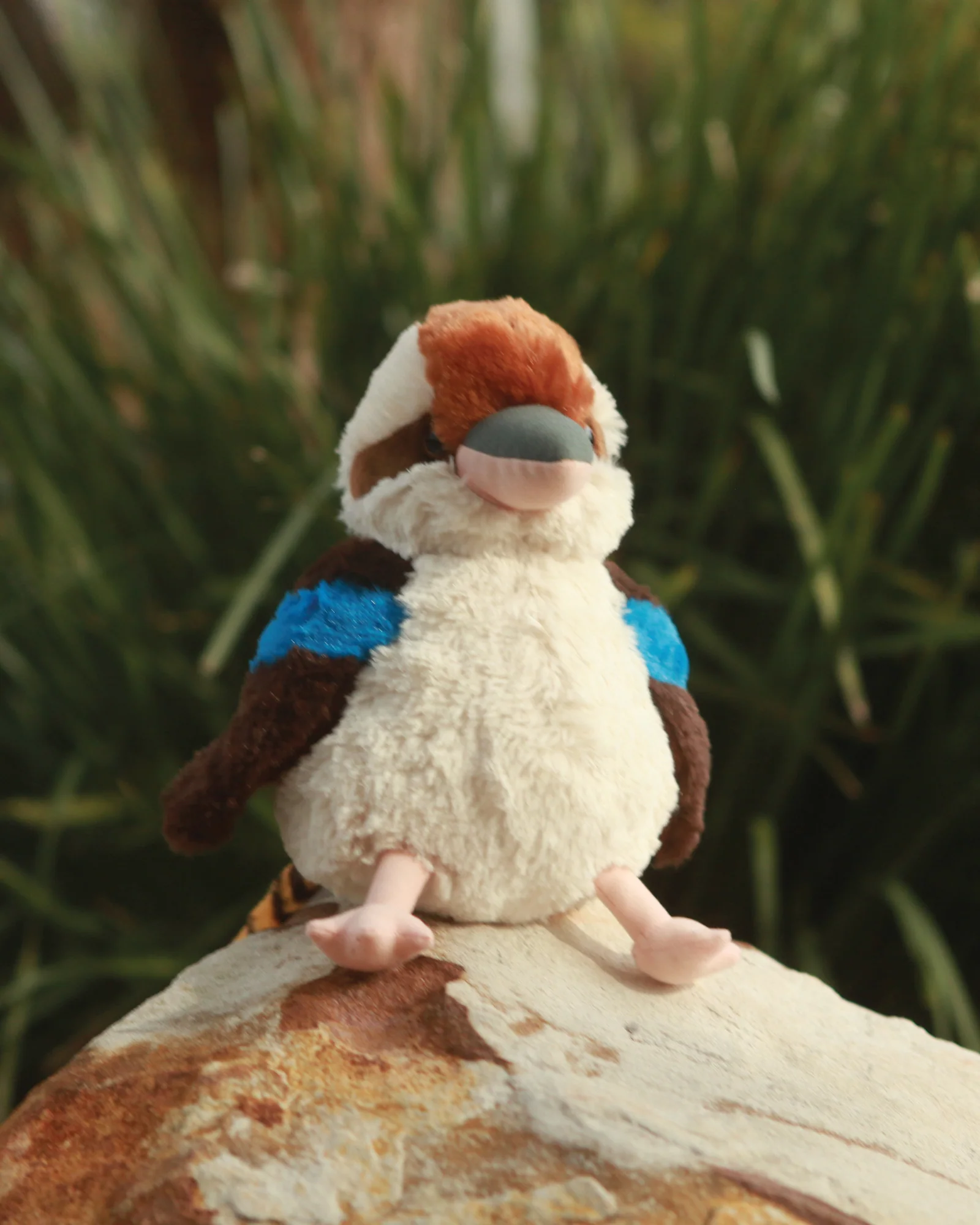 Keira Kookaburra - Image 4