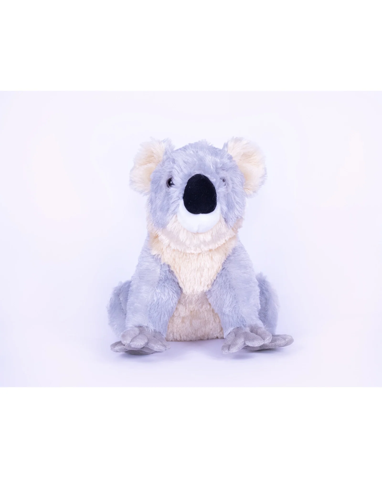 Kobe Koala