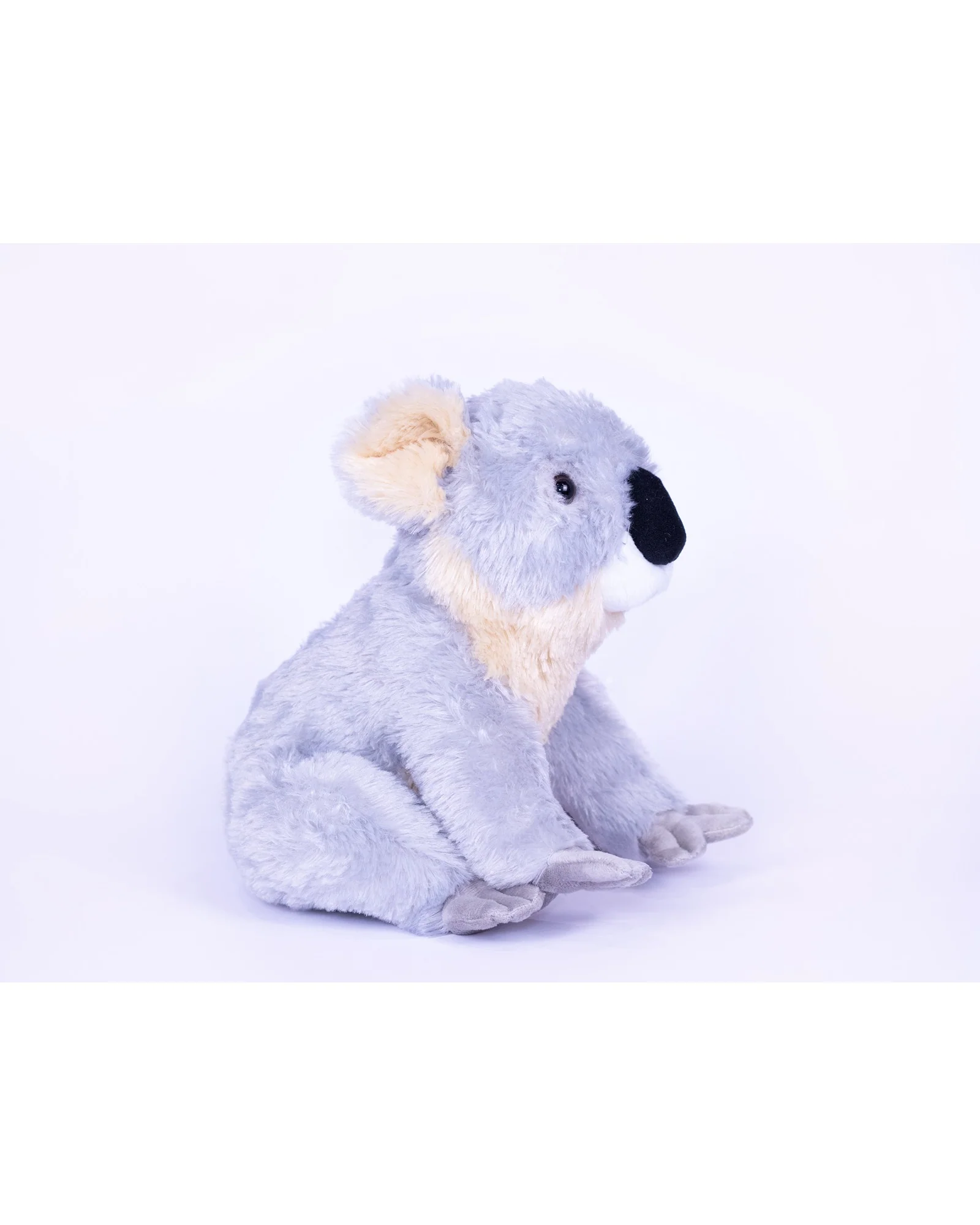 Kobe Koala - Image 2