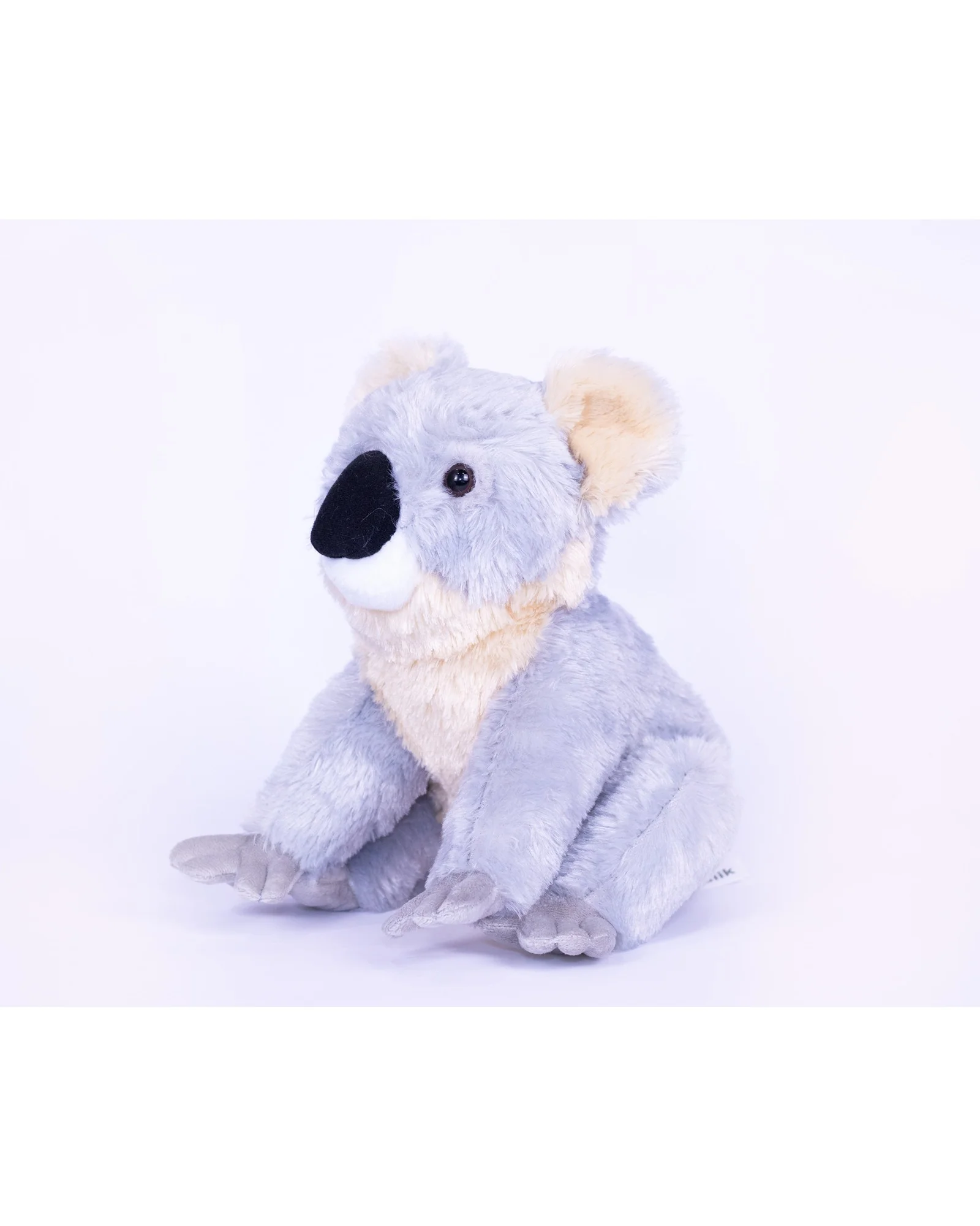Kobe Koala - Image 3