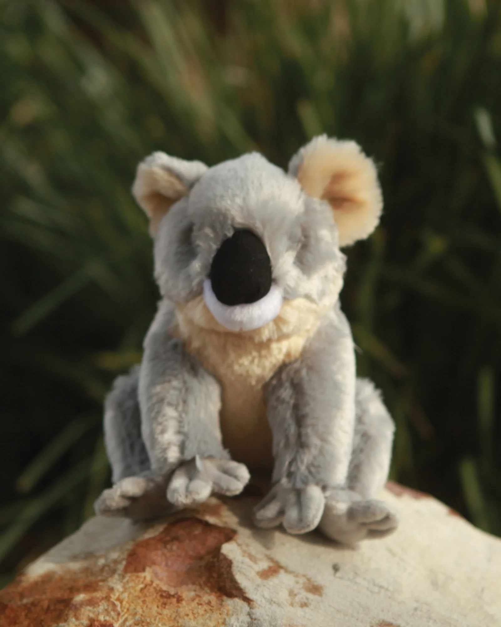 Kobe Koala - Image 4