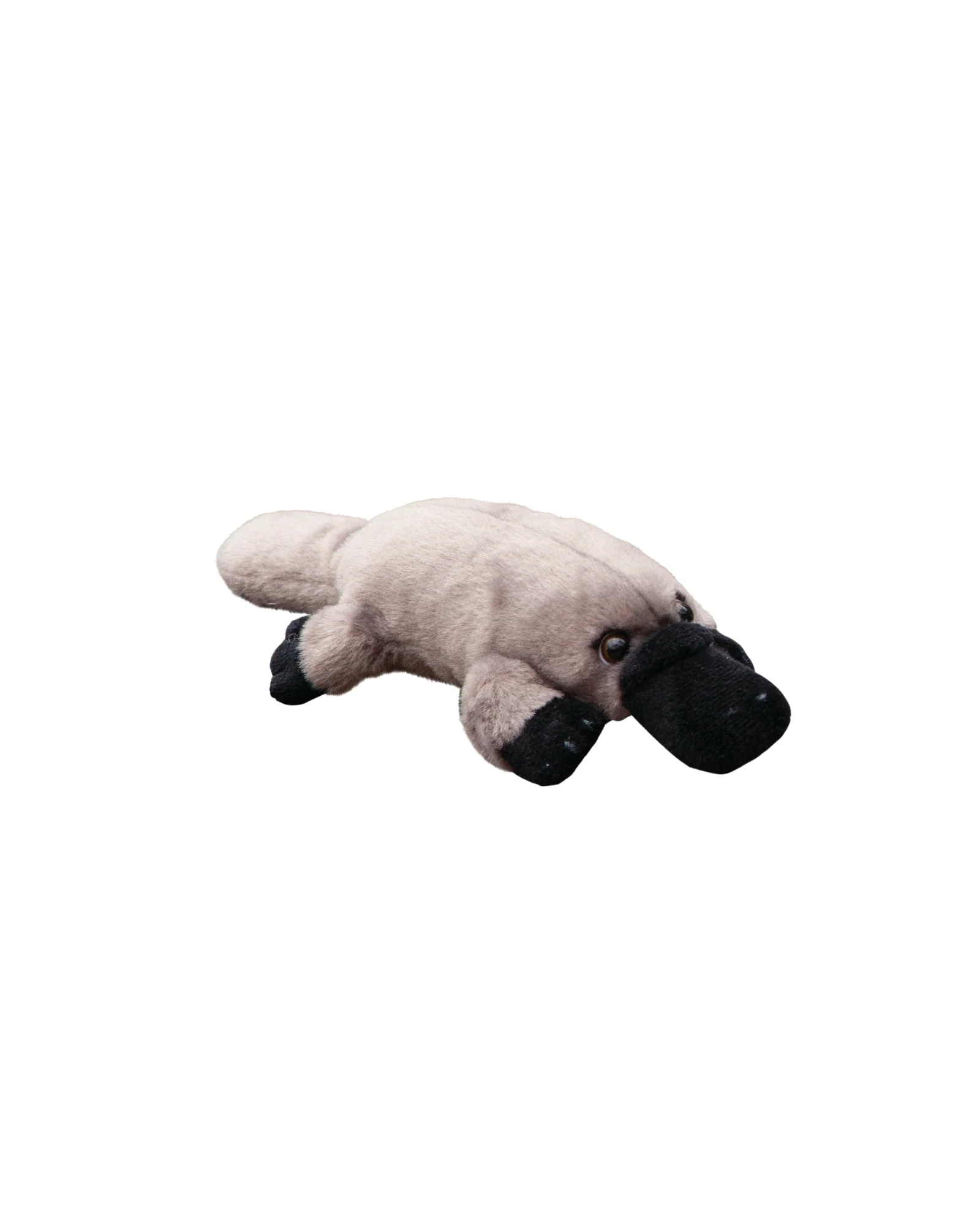 Pat the Platypus Small