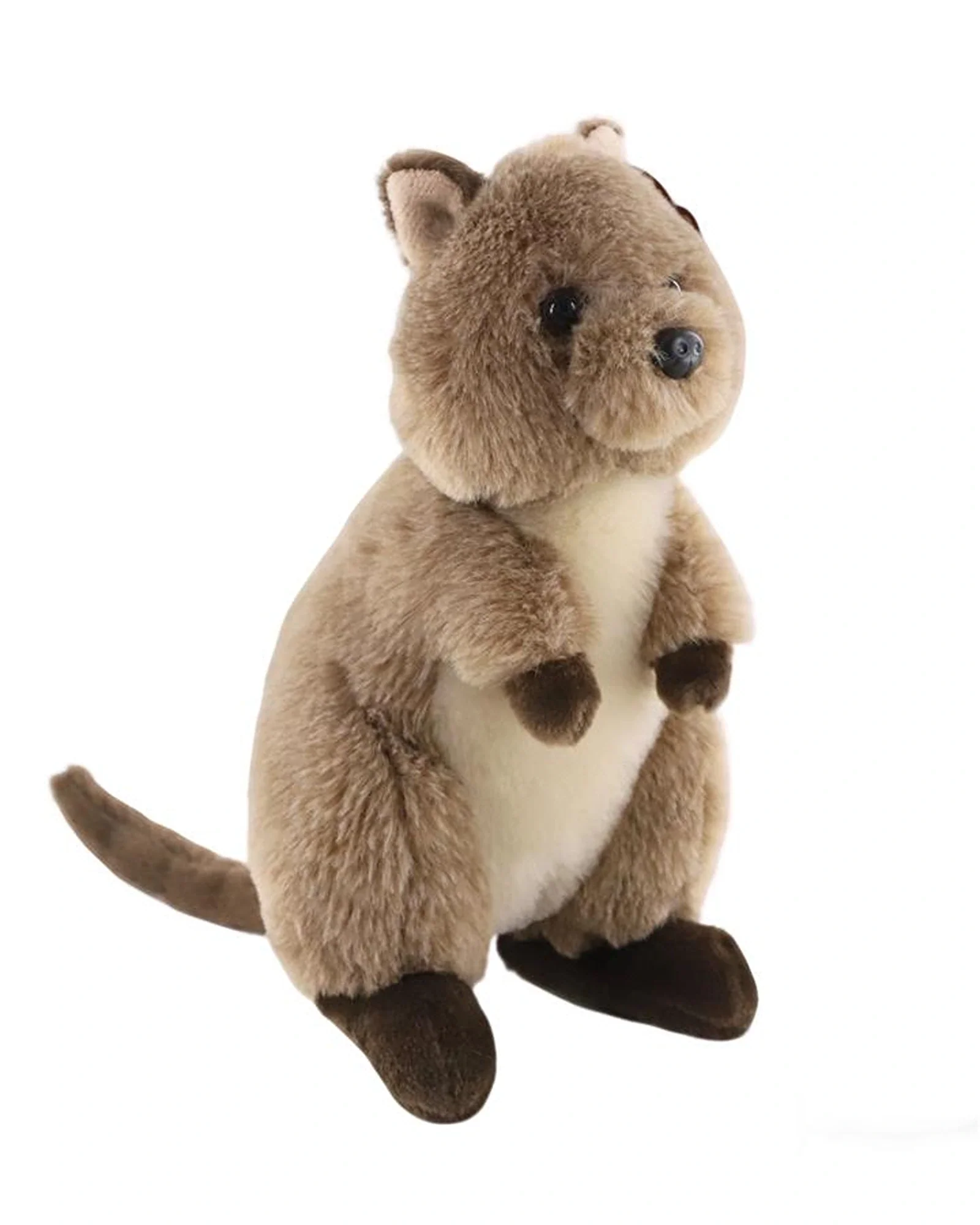 Quincey Quokka