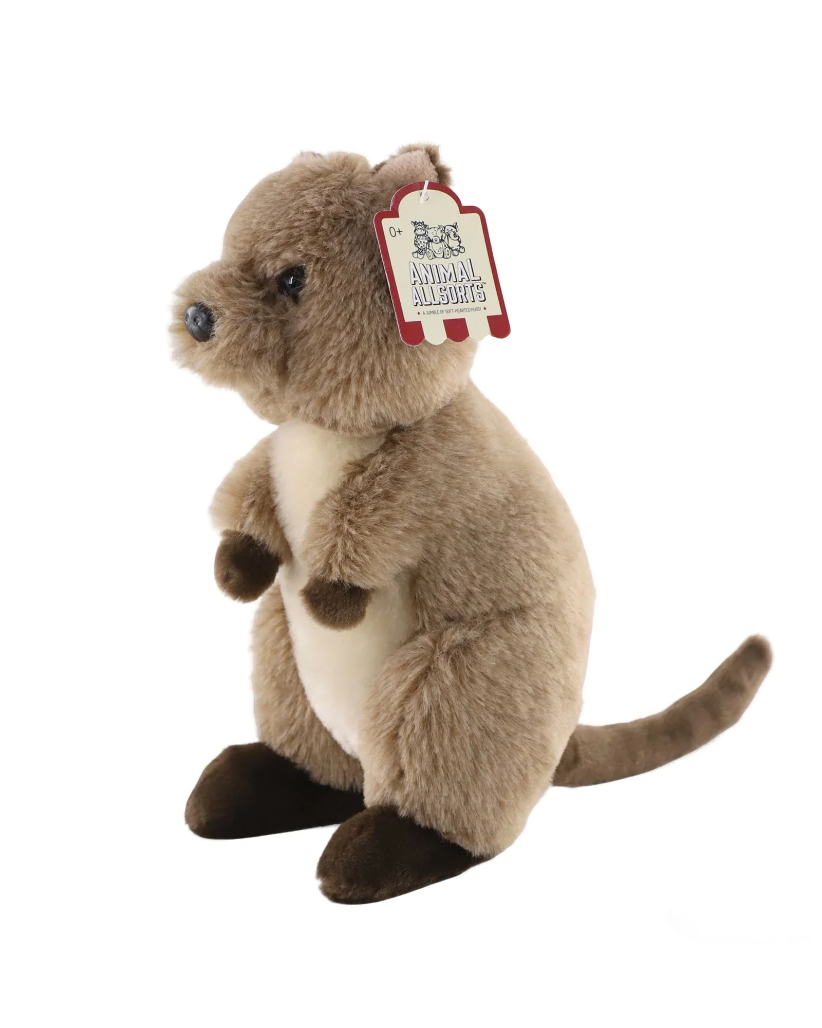Quincey Quokka - Image 2