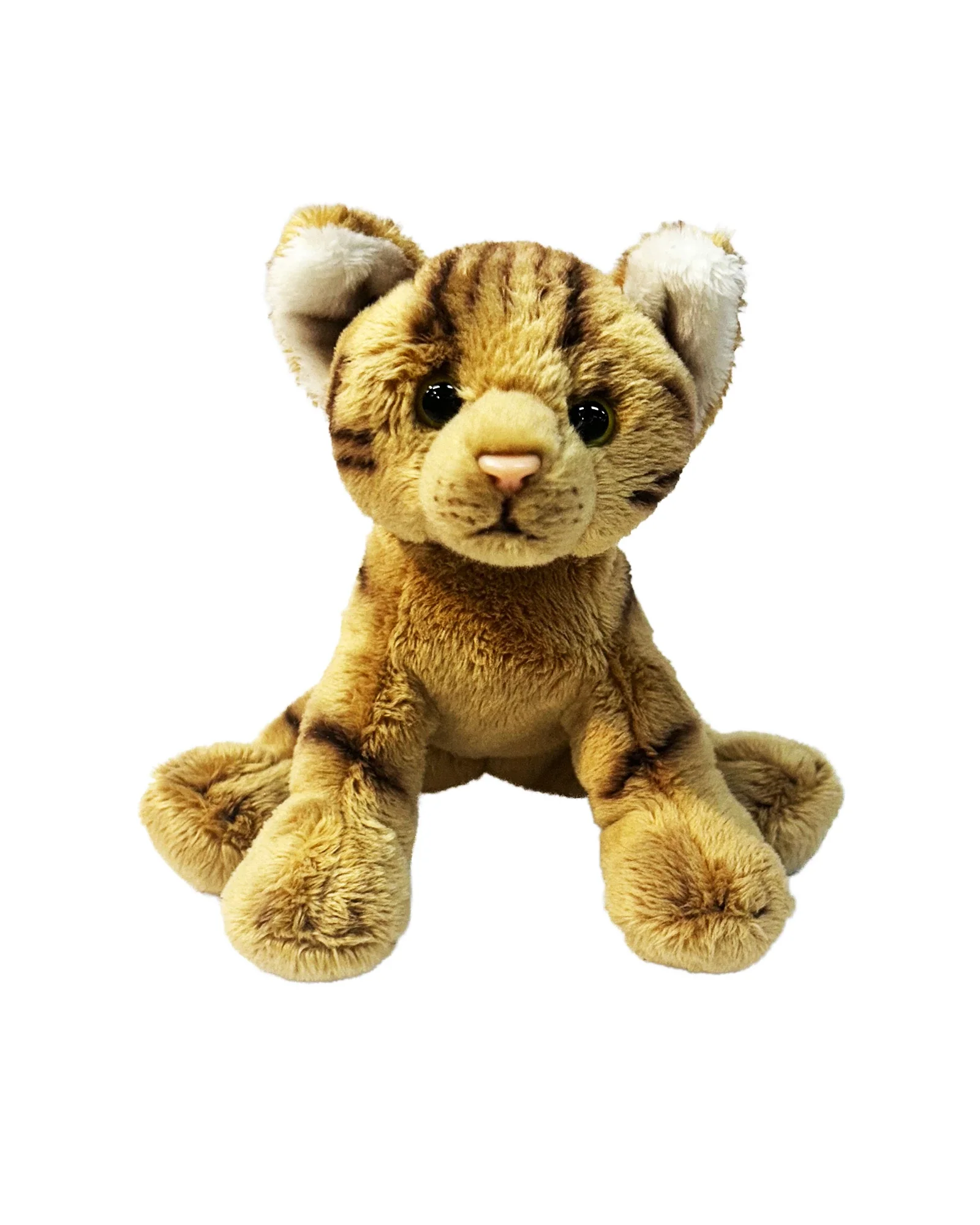 Ralph Tabby Small