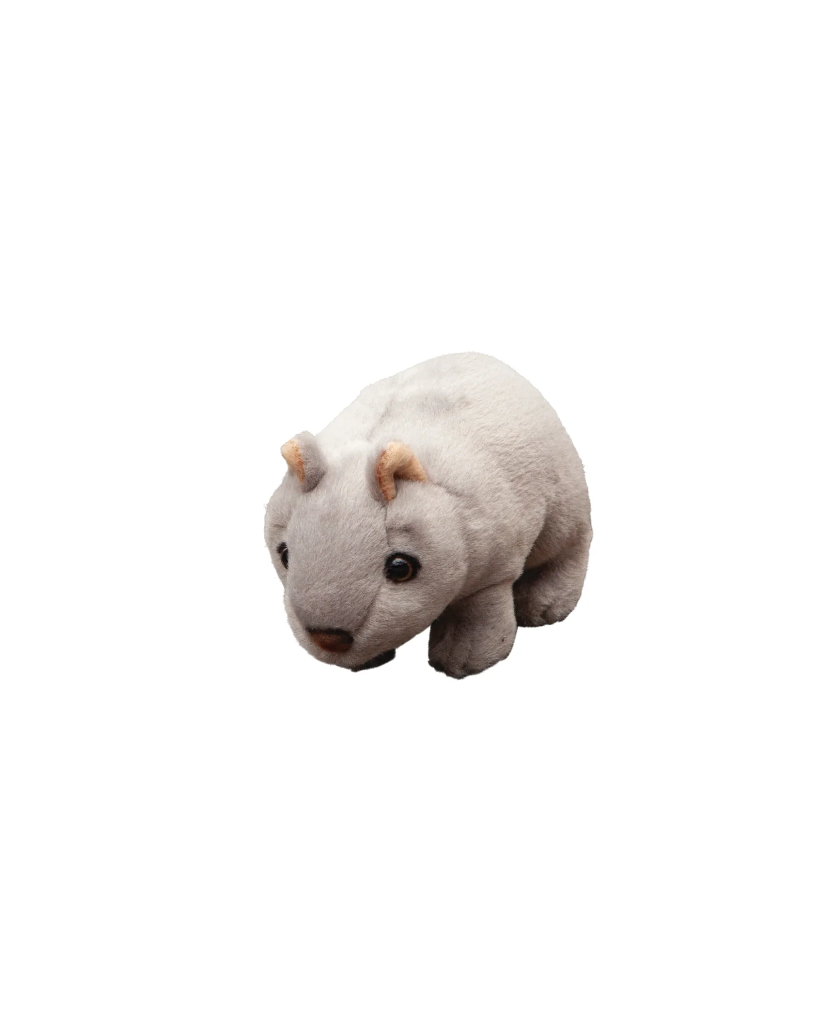 Wally the Wombat Small