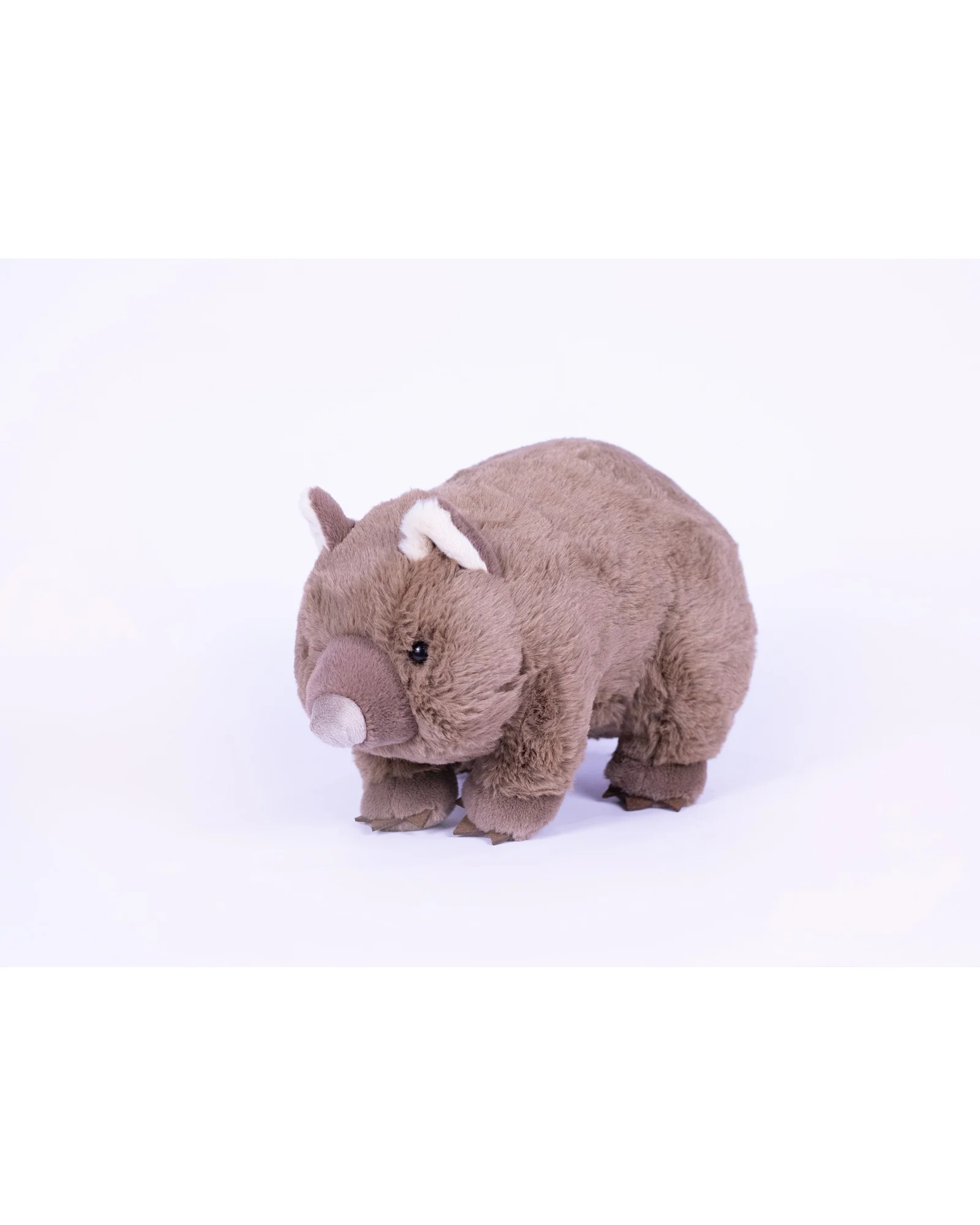 Wilbur Wombat - Image 3