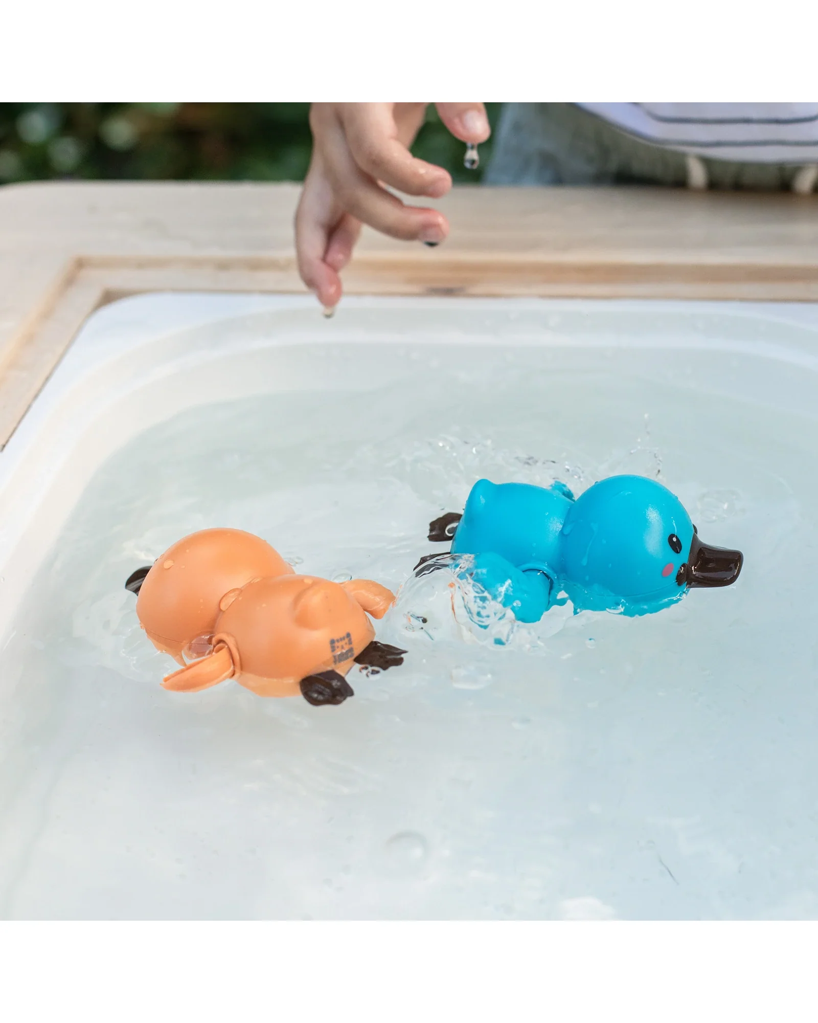 Bath Racers - Platypuses - Image 7