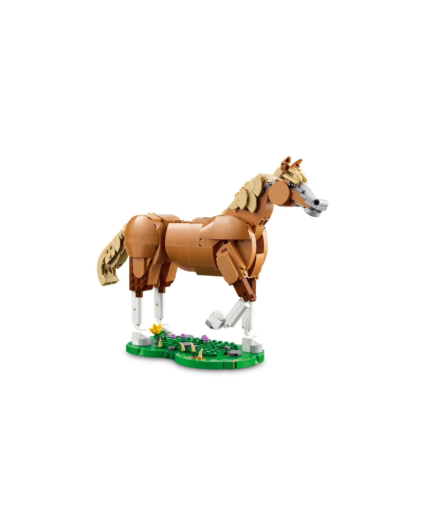 31166 Beautiful Horse - Image 3