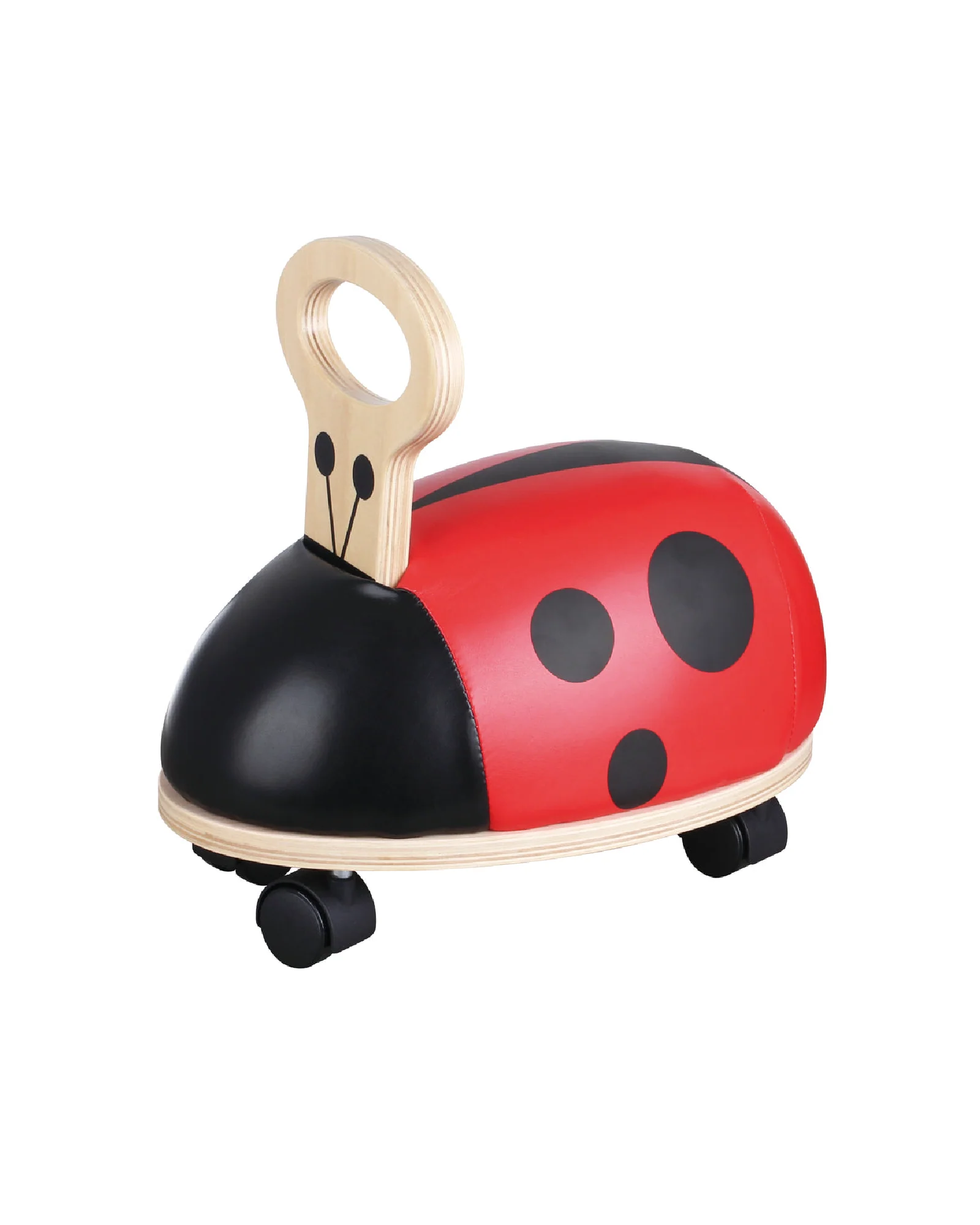 The Bug About - Image 4