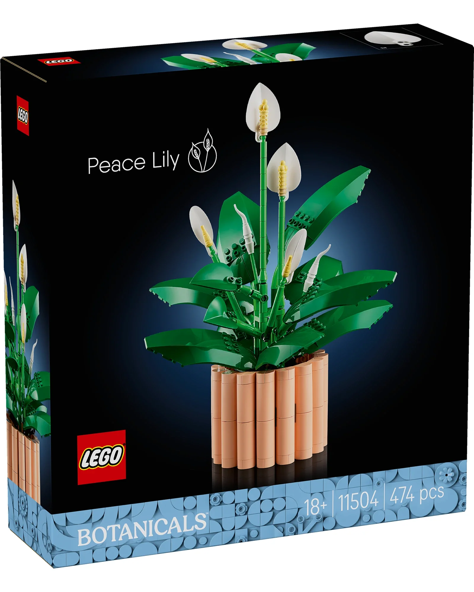 11504 Peace Lily