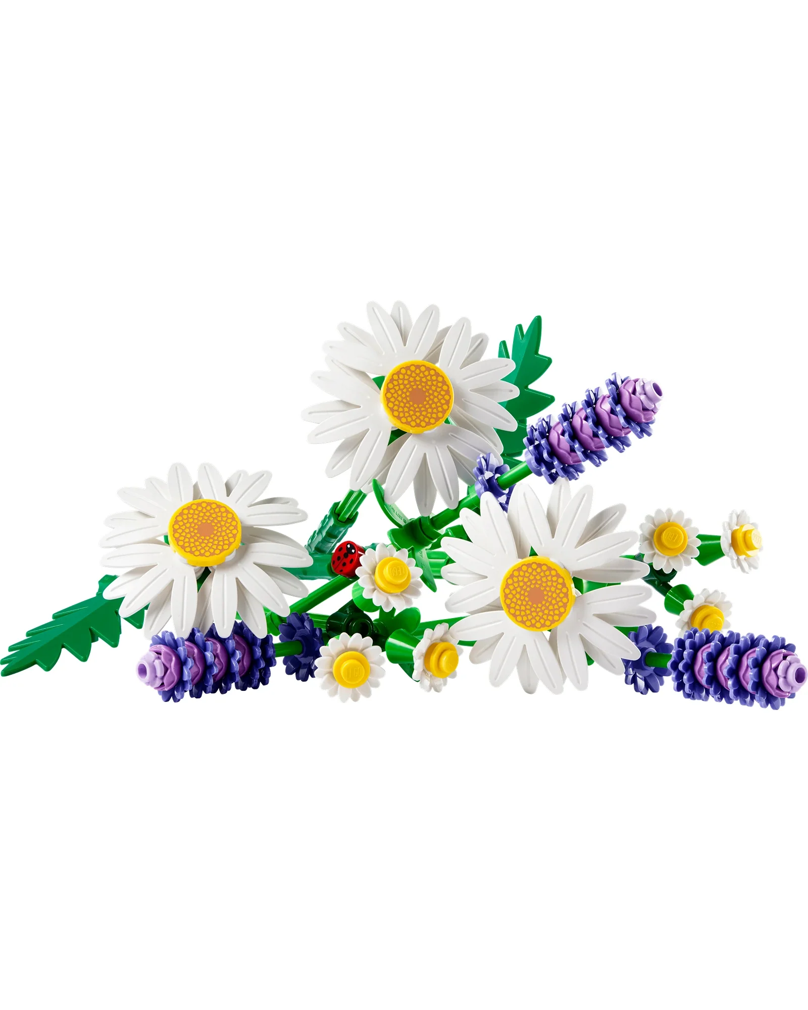 11508 Daisies - Image 5