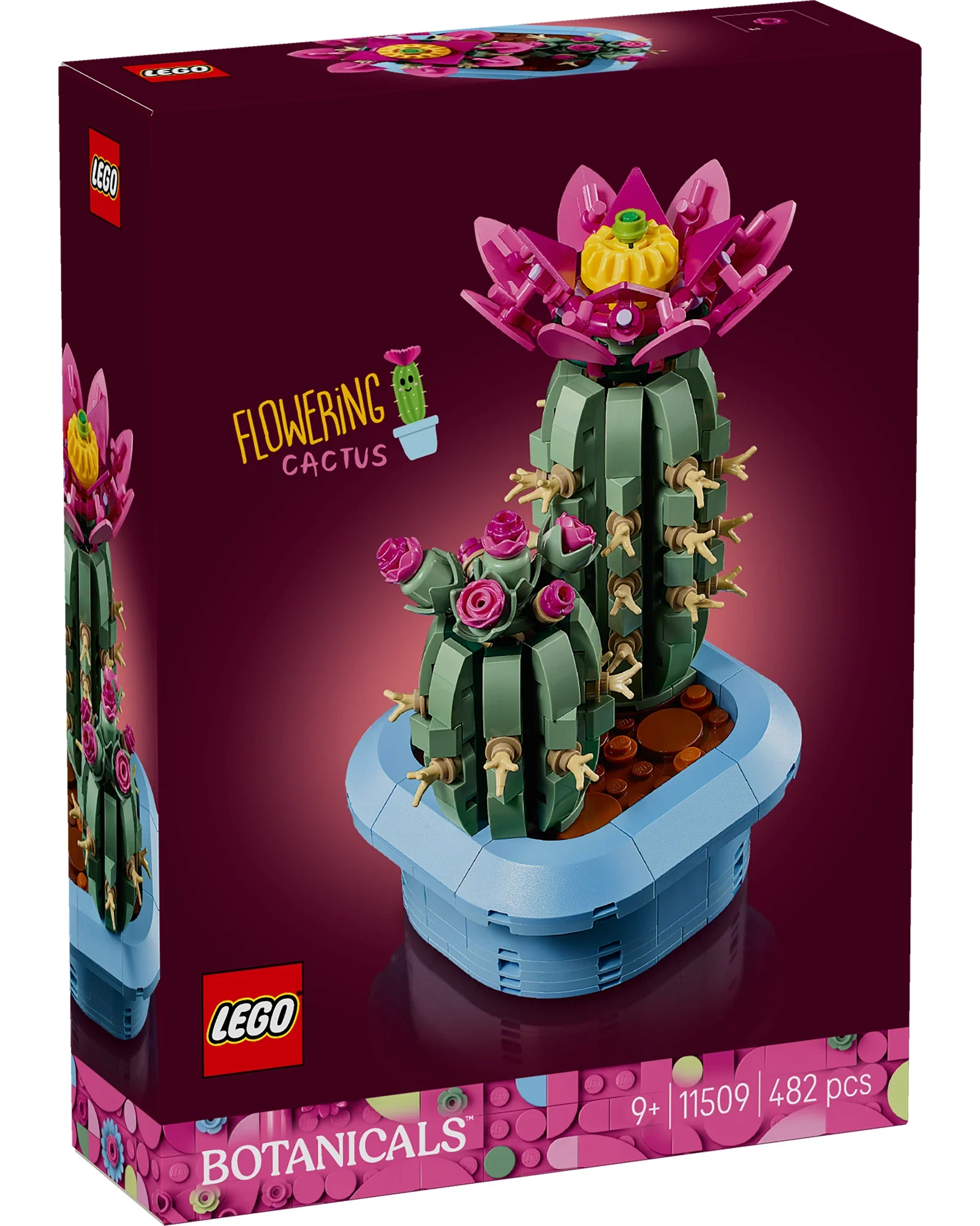 11509 Flowering Cactus