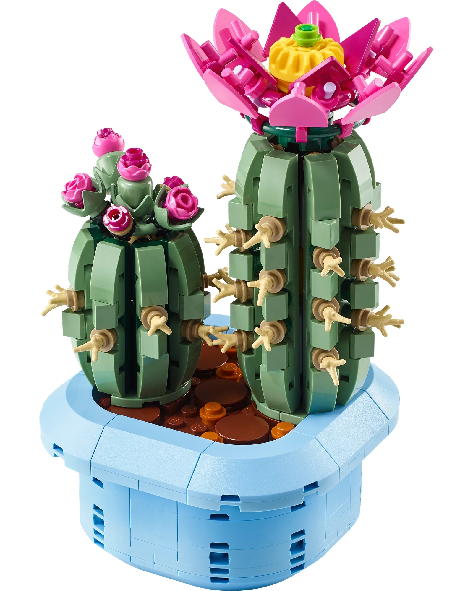 11509 Flowering Cactus - Image 5