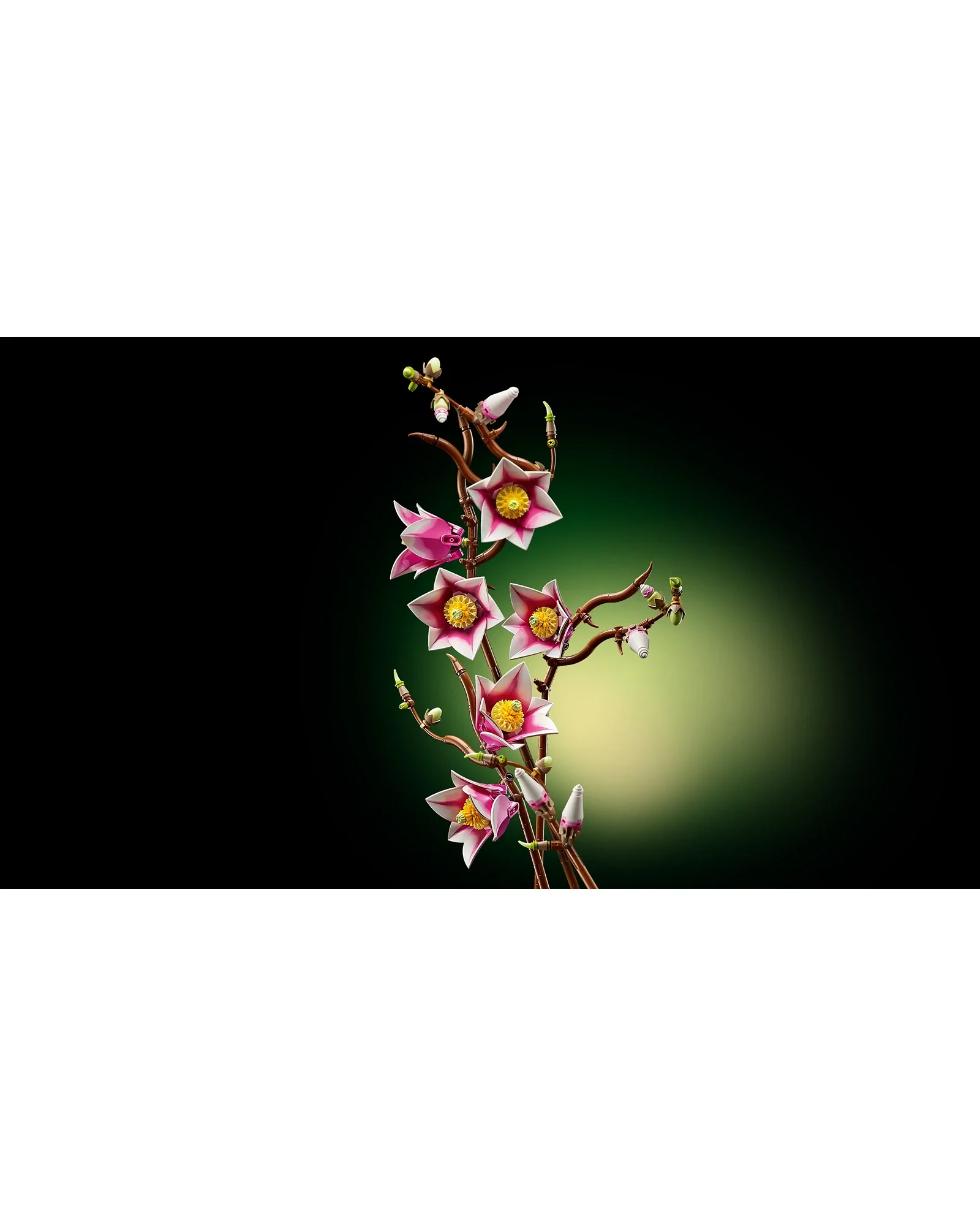 11510 Magnolia Branches - Image 7