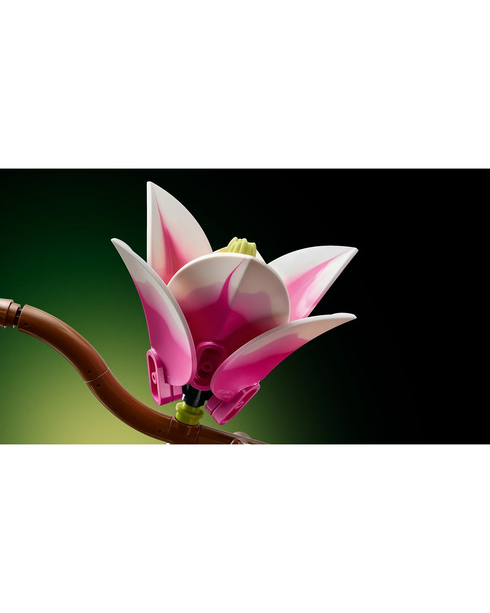 11510 Magnolia Branches - Image 8