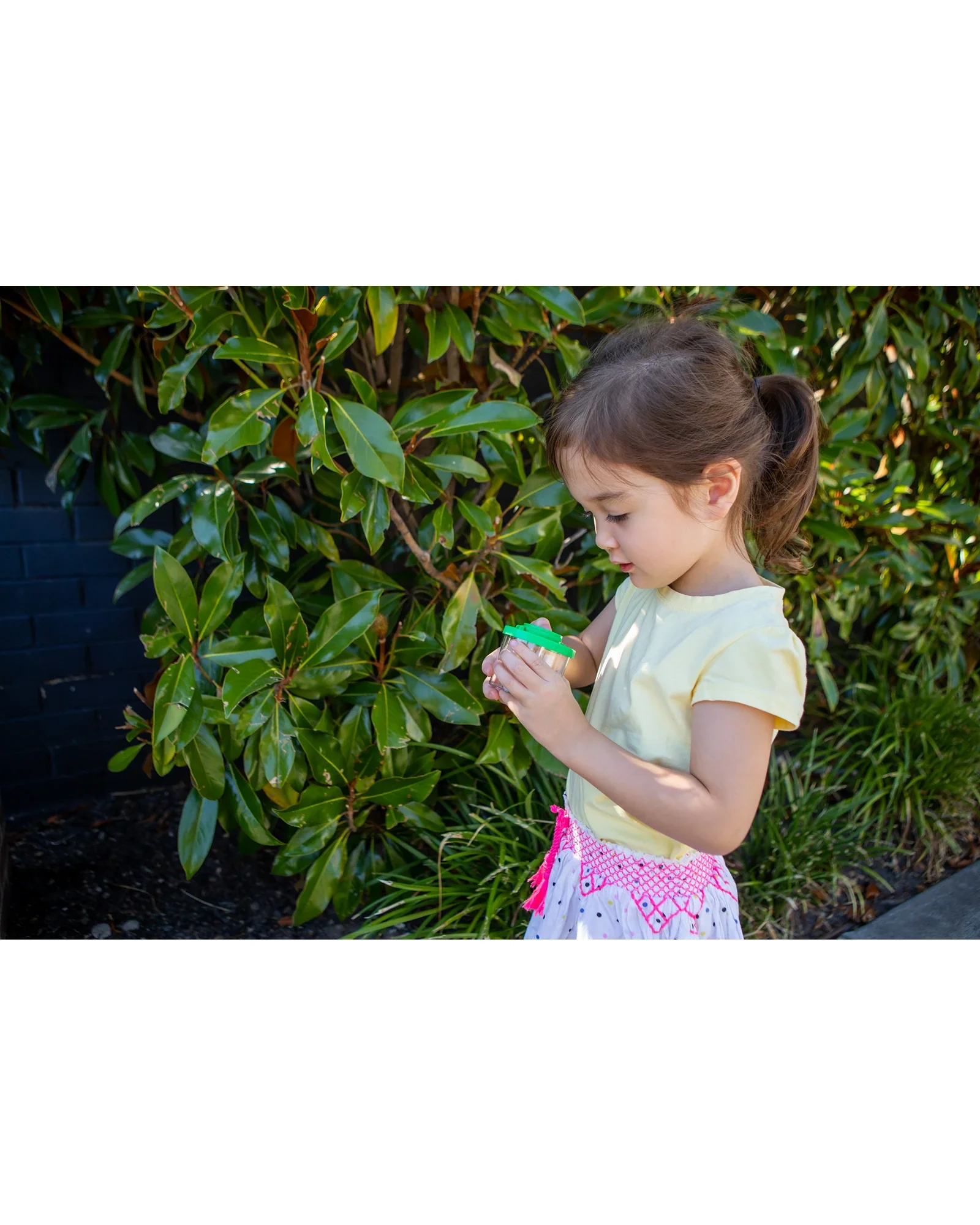 Bug Spotter Kit - Image 13