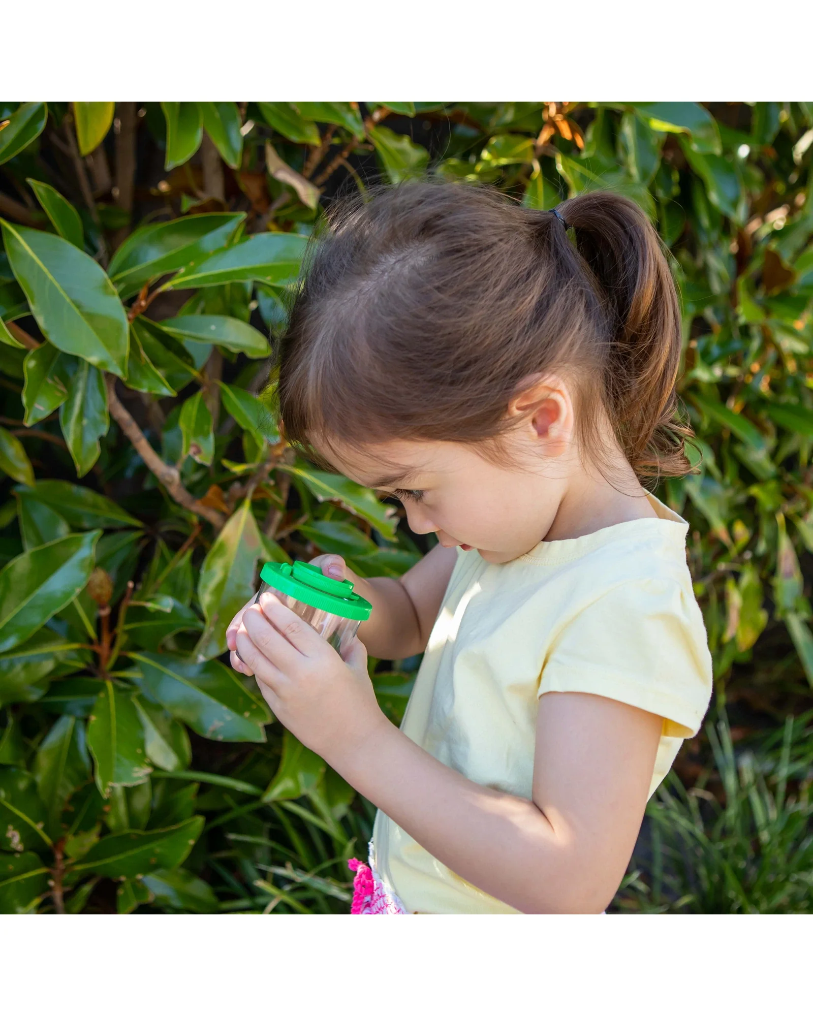 Bug Spotter Kit - Image 16