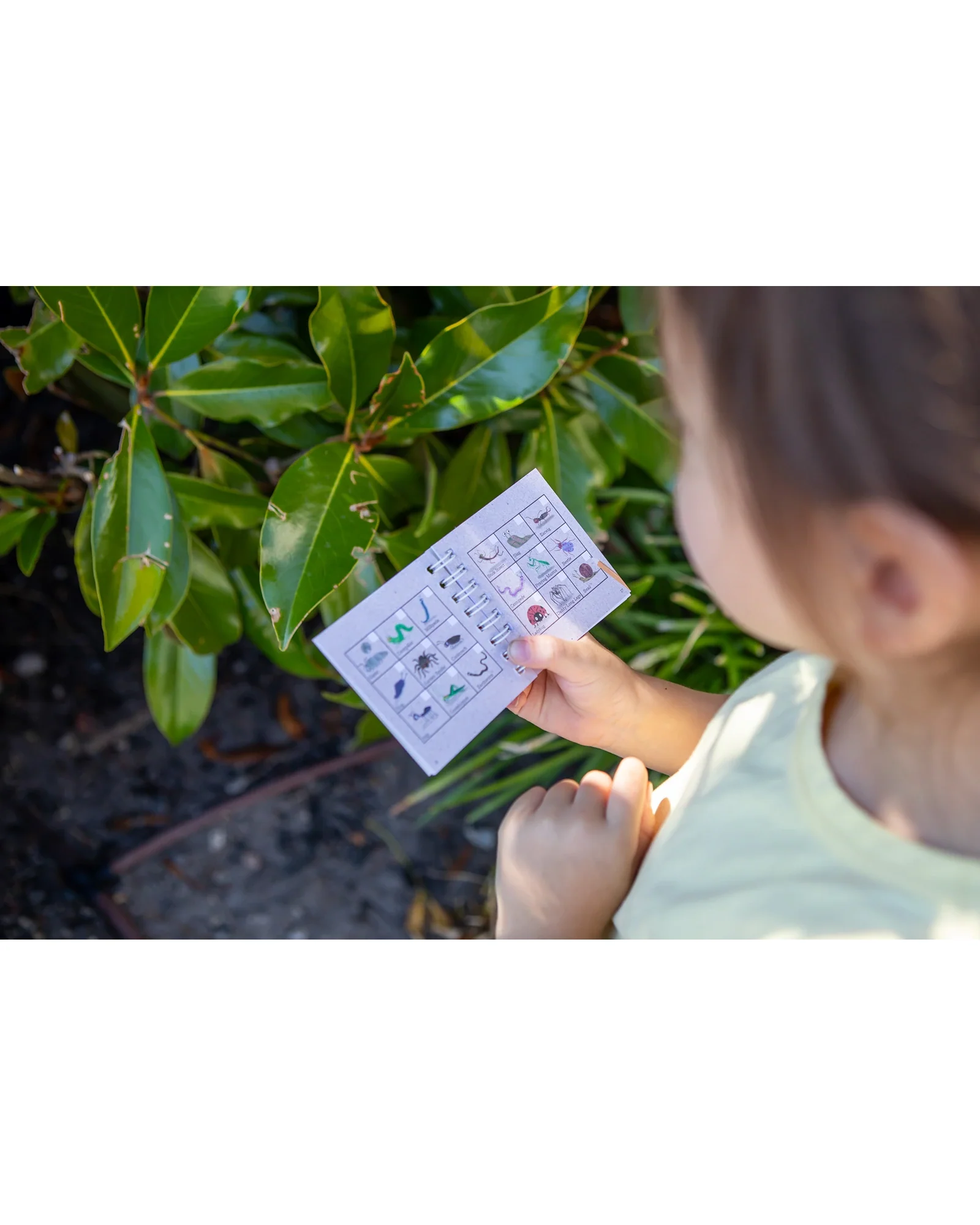 Bug Spotter Kit - Image 19