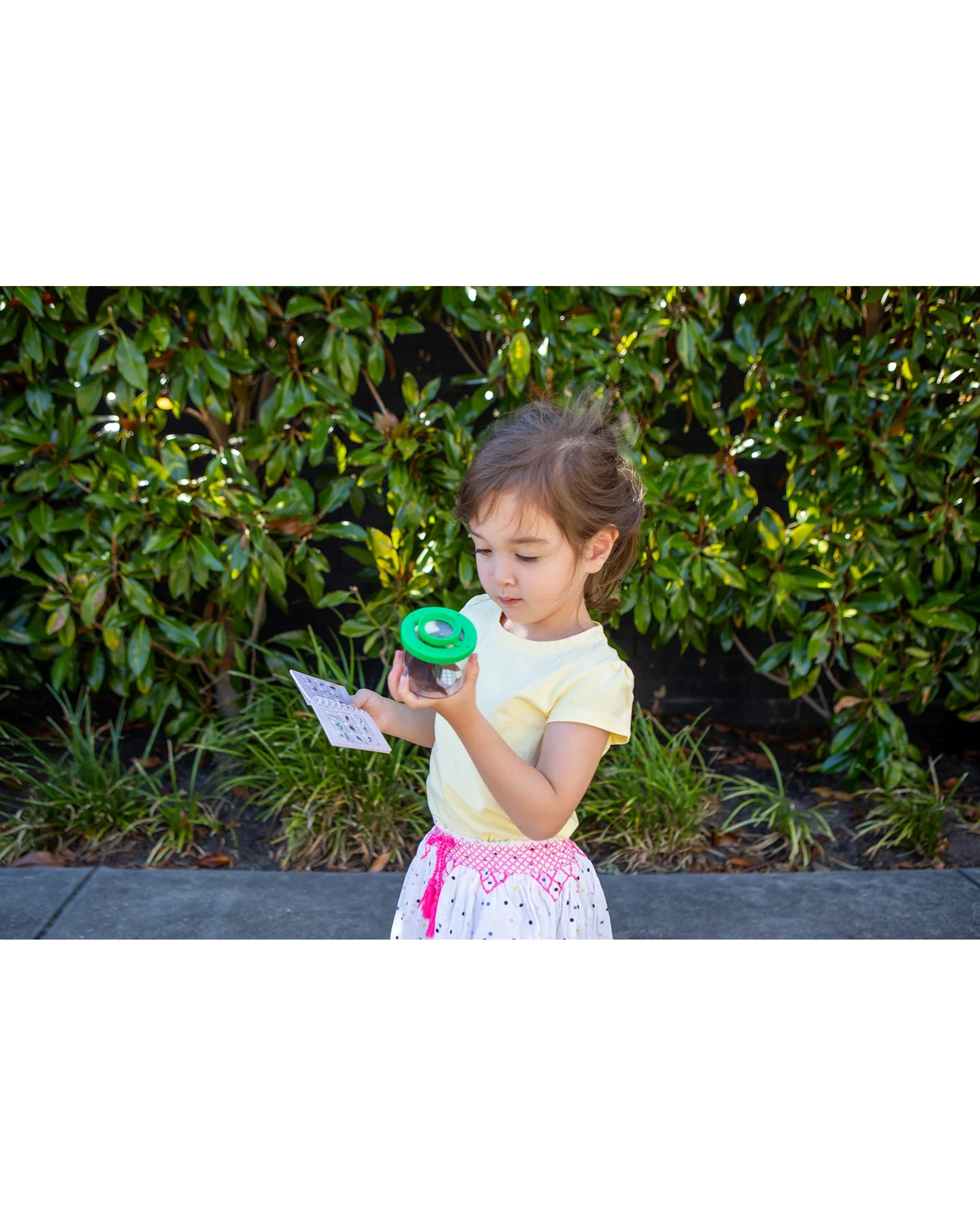 Bug Spotter Kit - Image 6