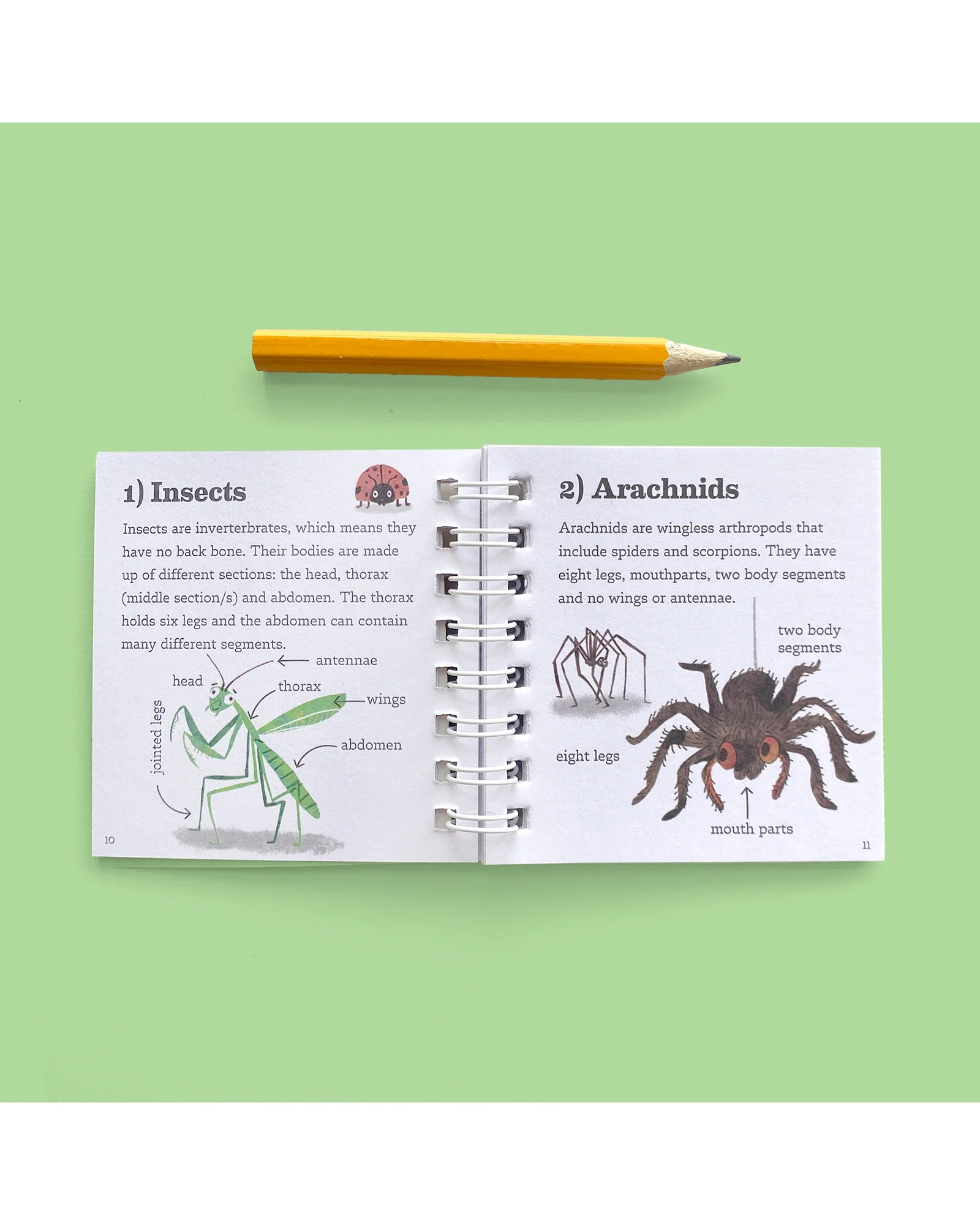 Bug Spotter Kit - Image 8