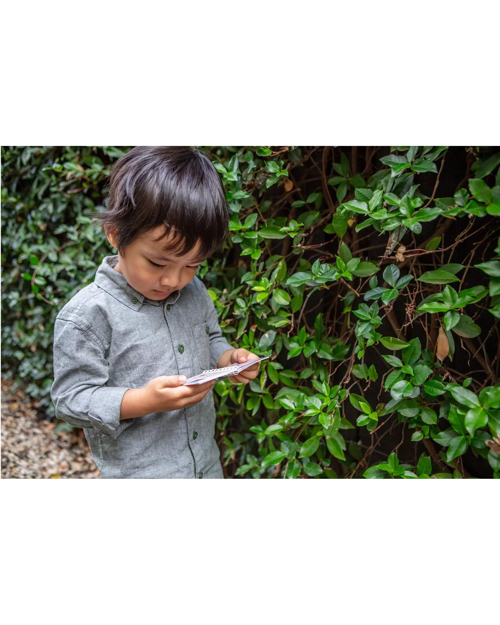 Bug Spotter Kit - Image 9
